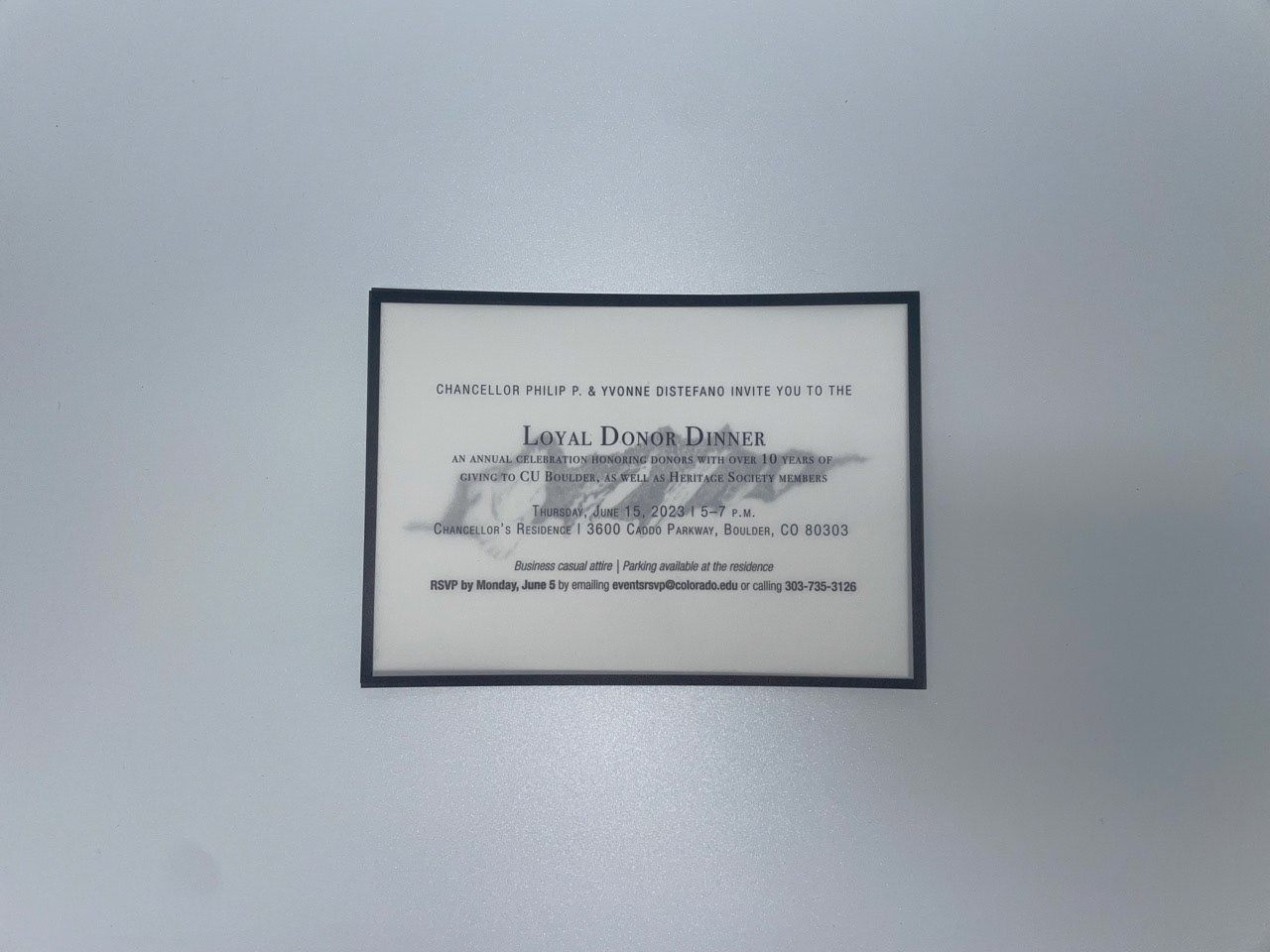 Vellum insert over textured art card