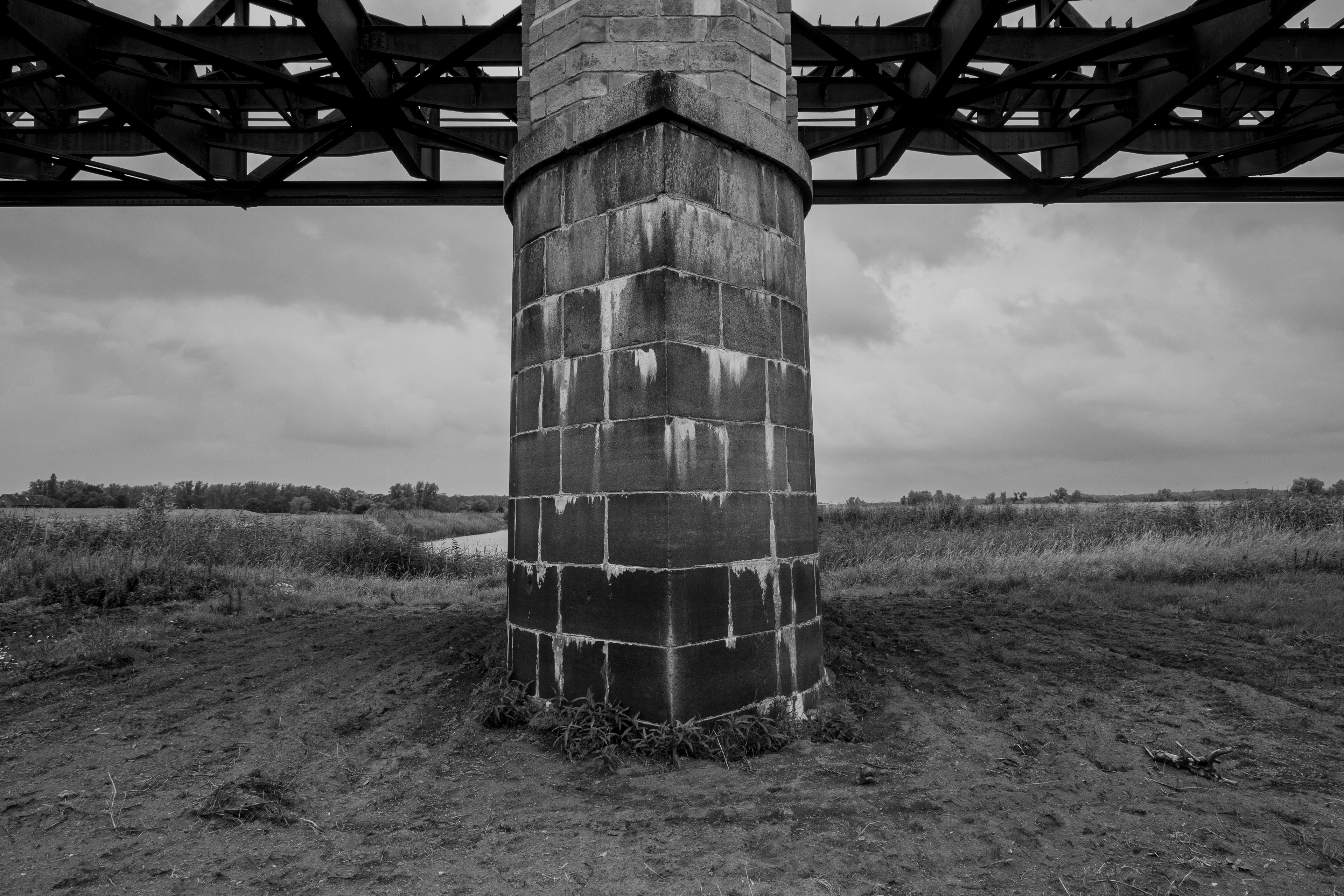 _R102513