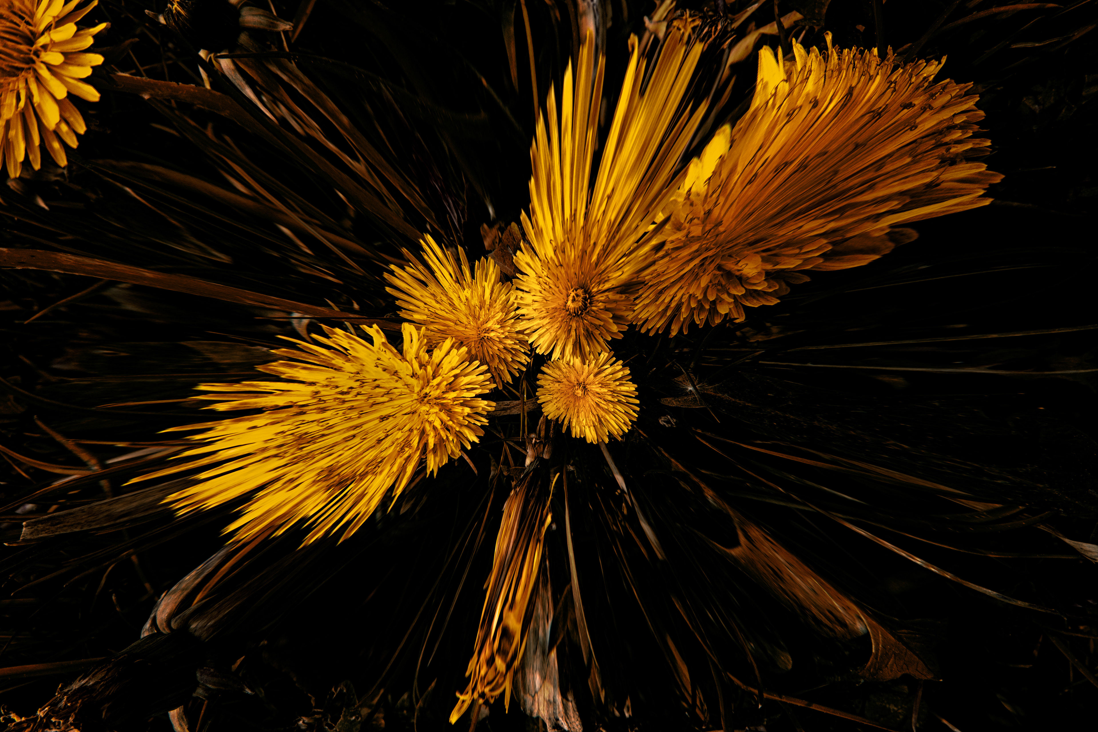 _R108573-B