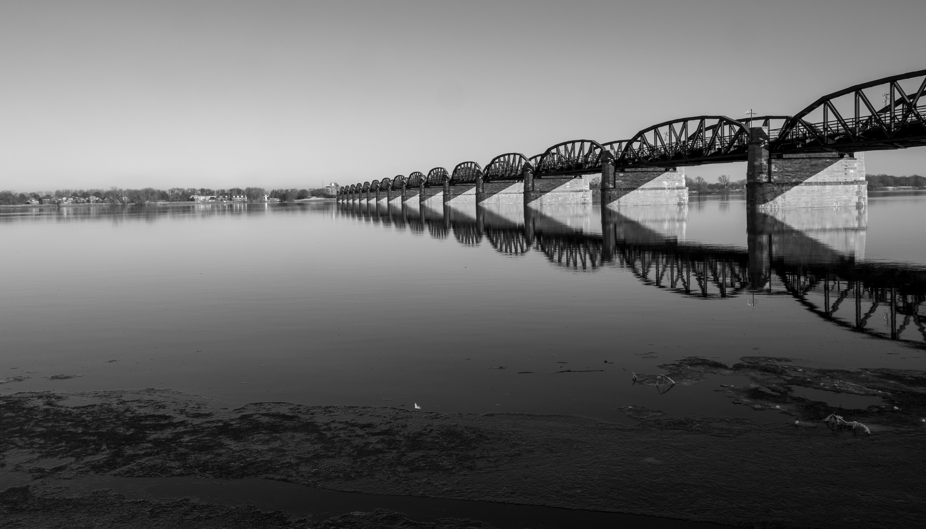 _R105510_1