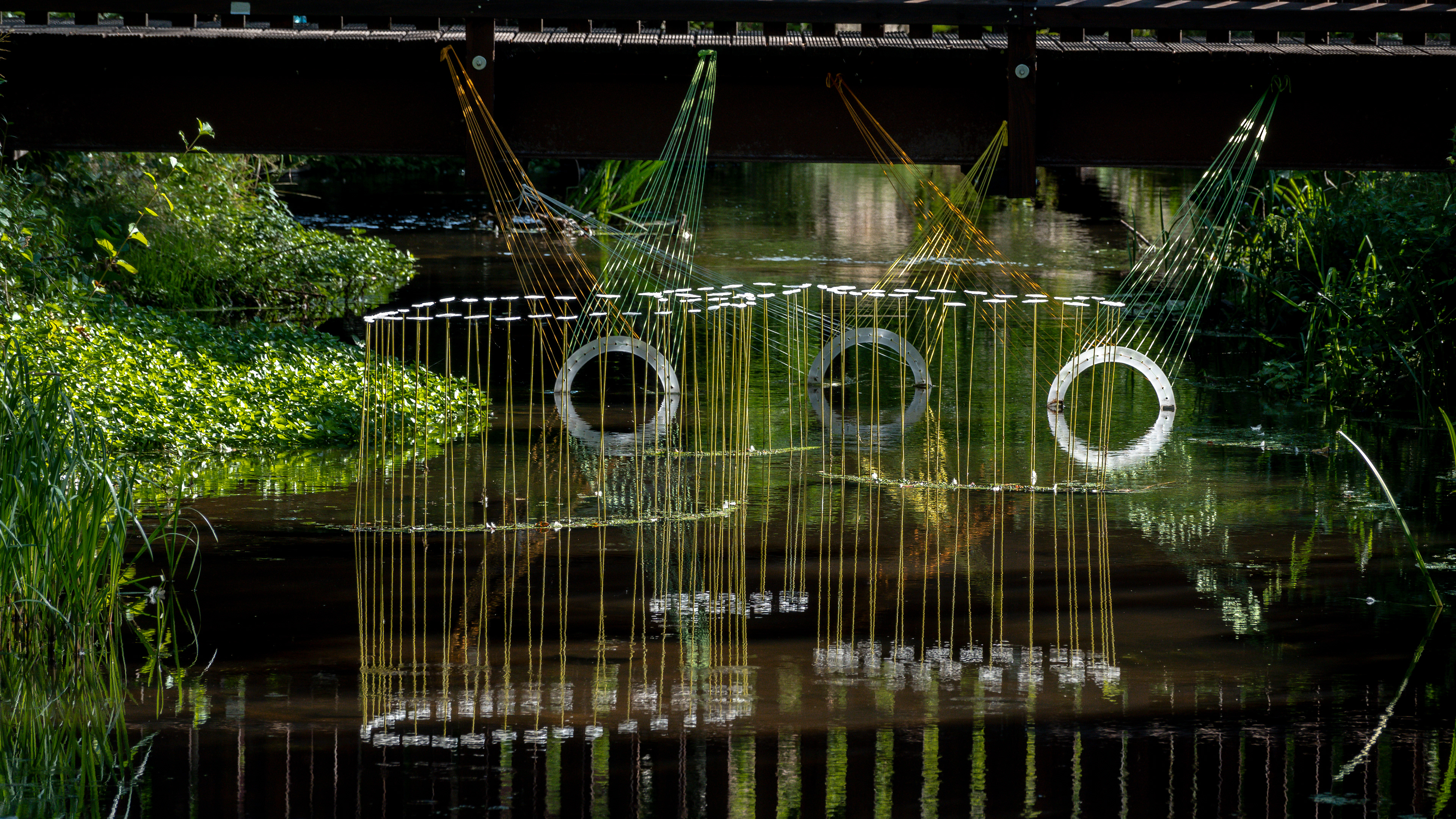 _R106917