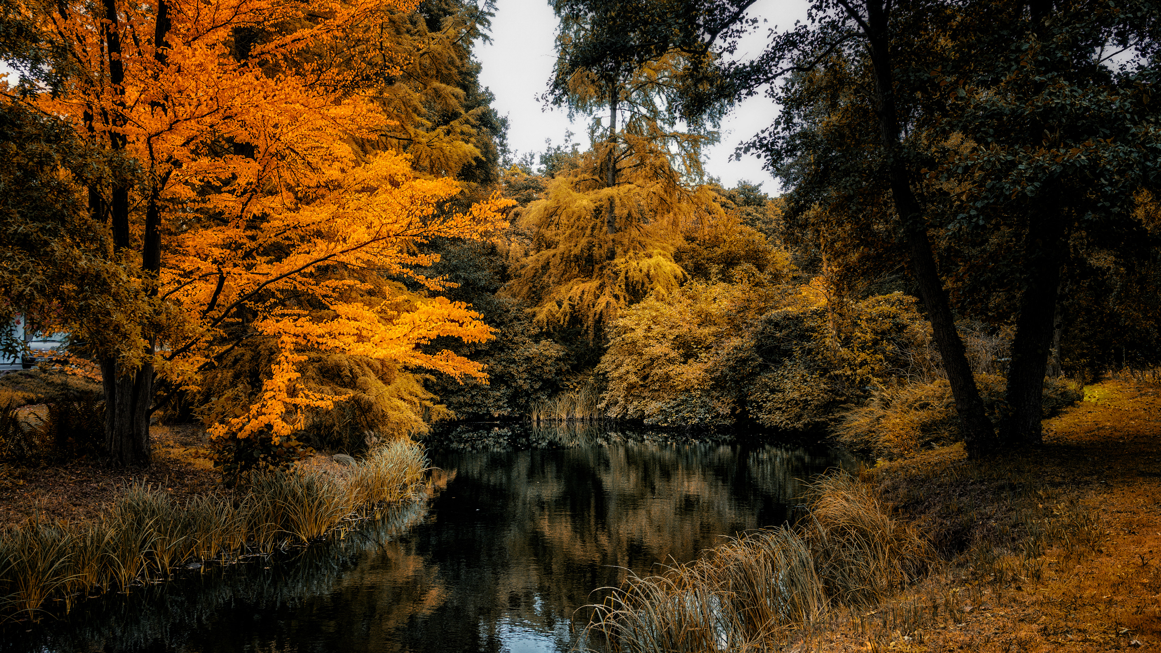 _R107845_b