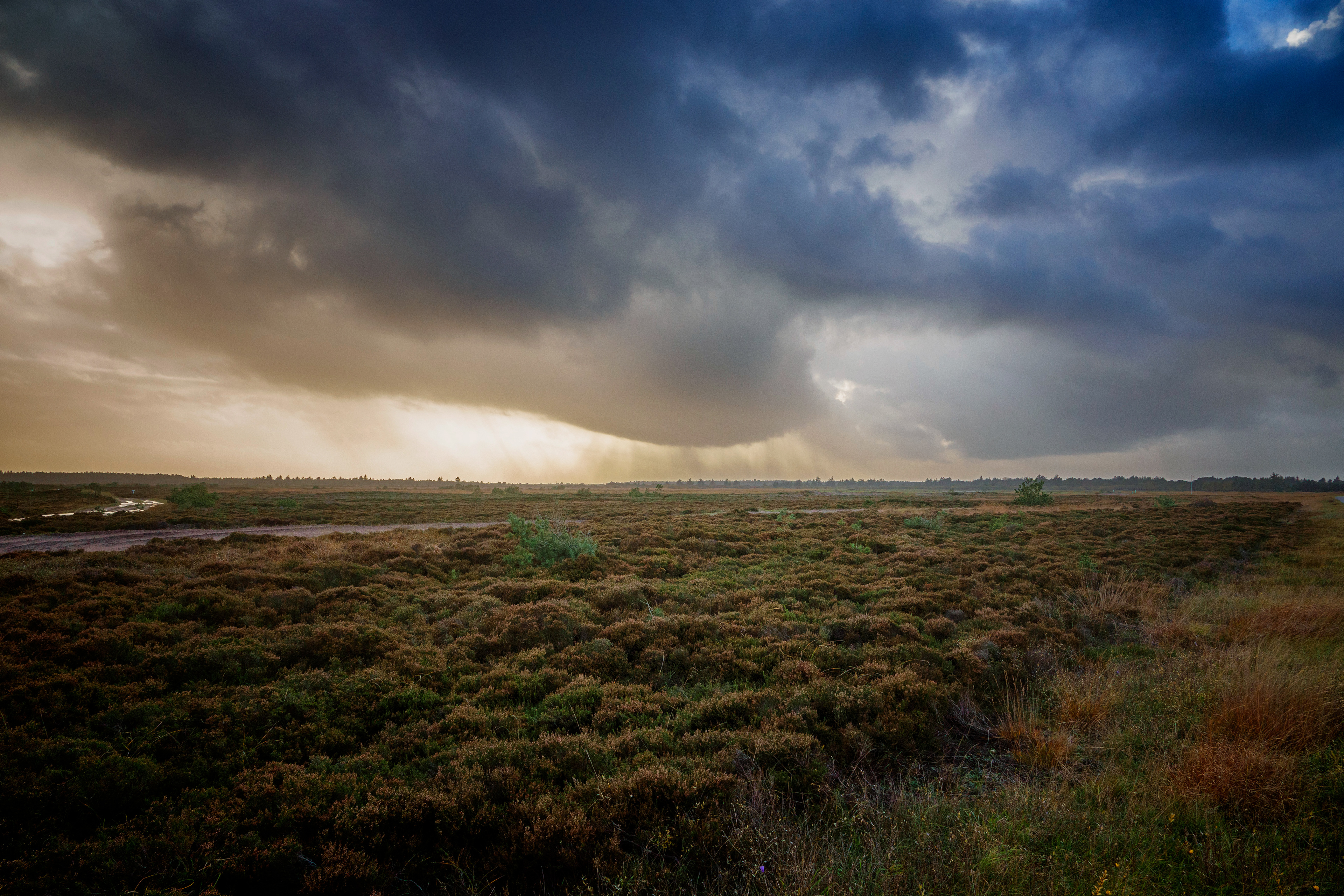 _R104702_b