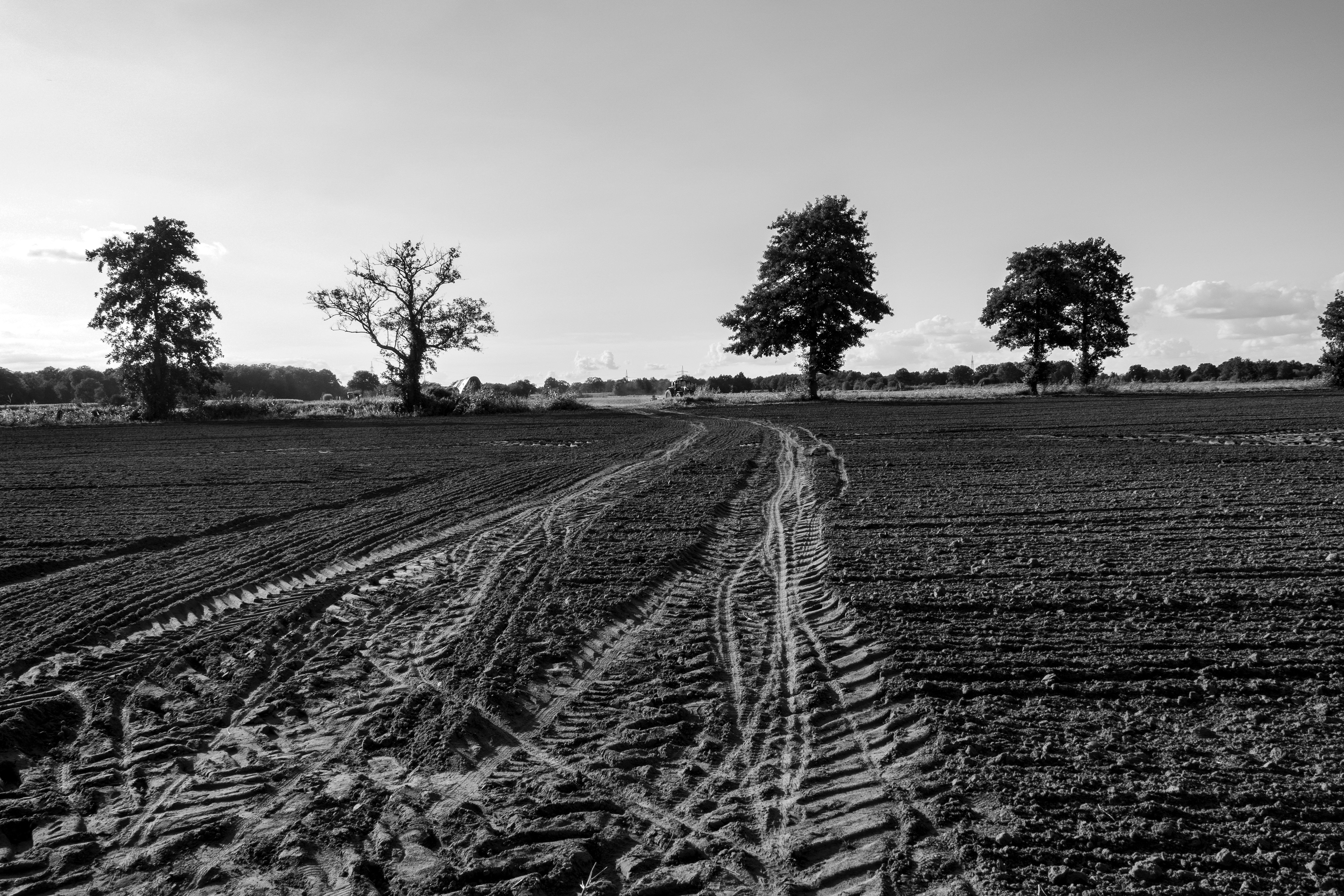 _R102898
