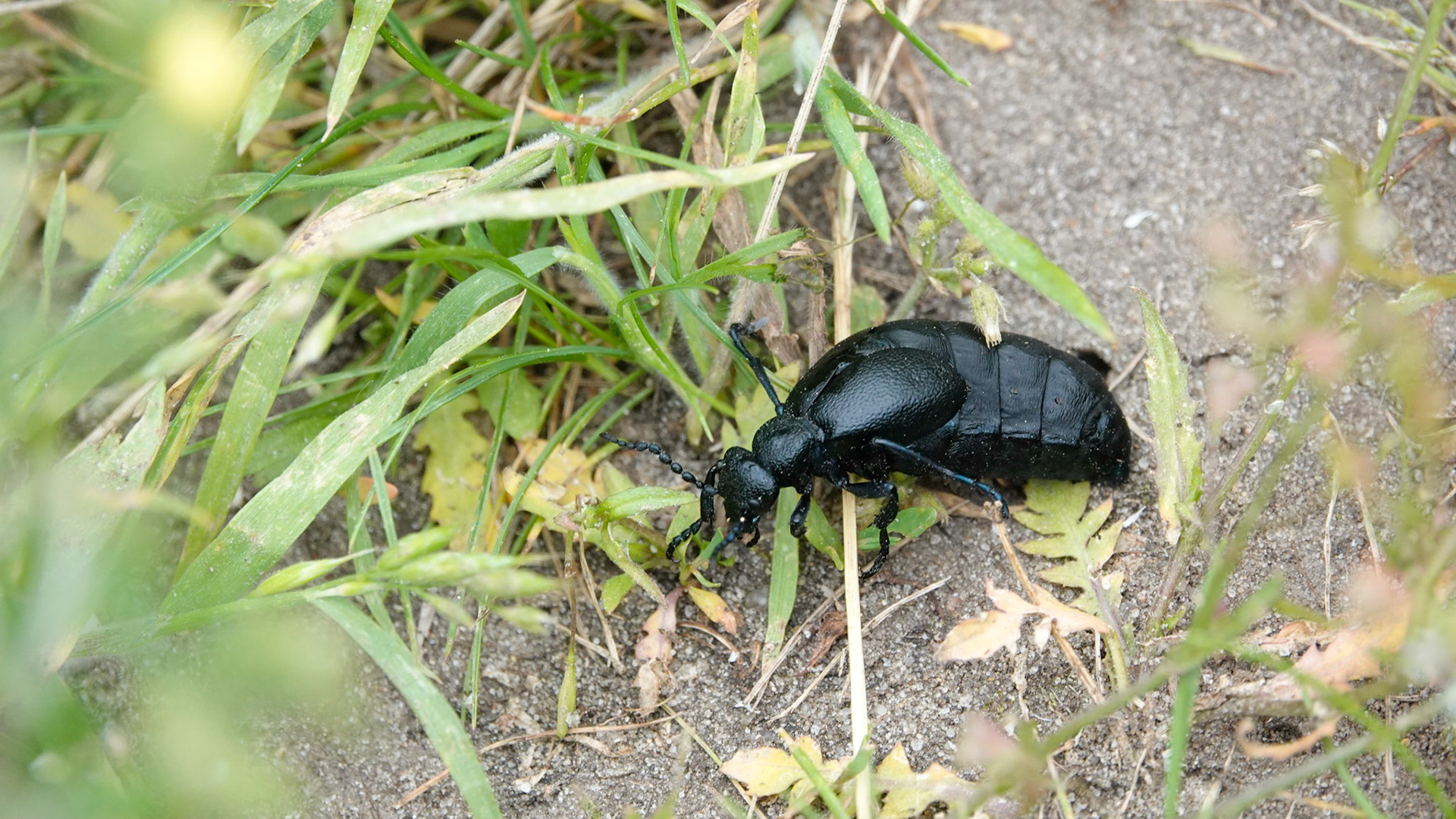 _R109053