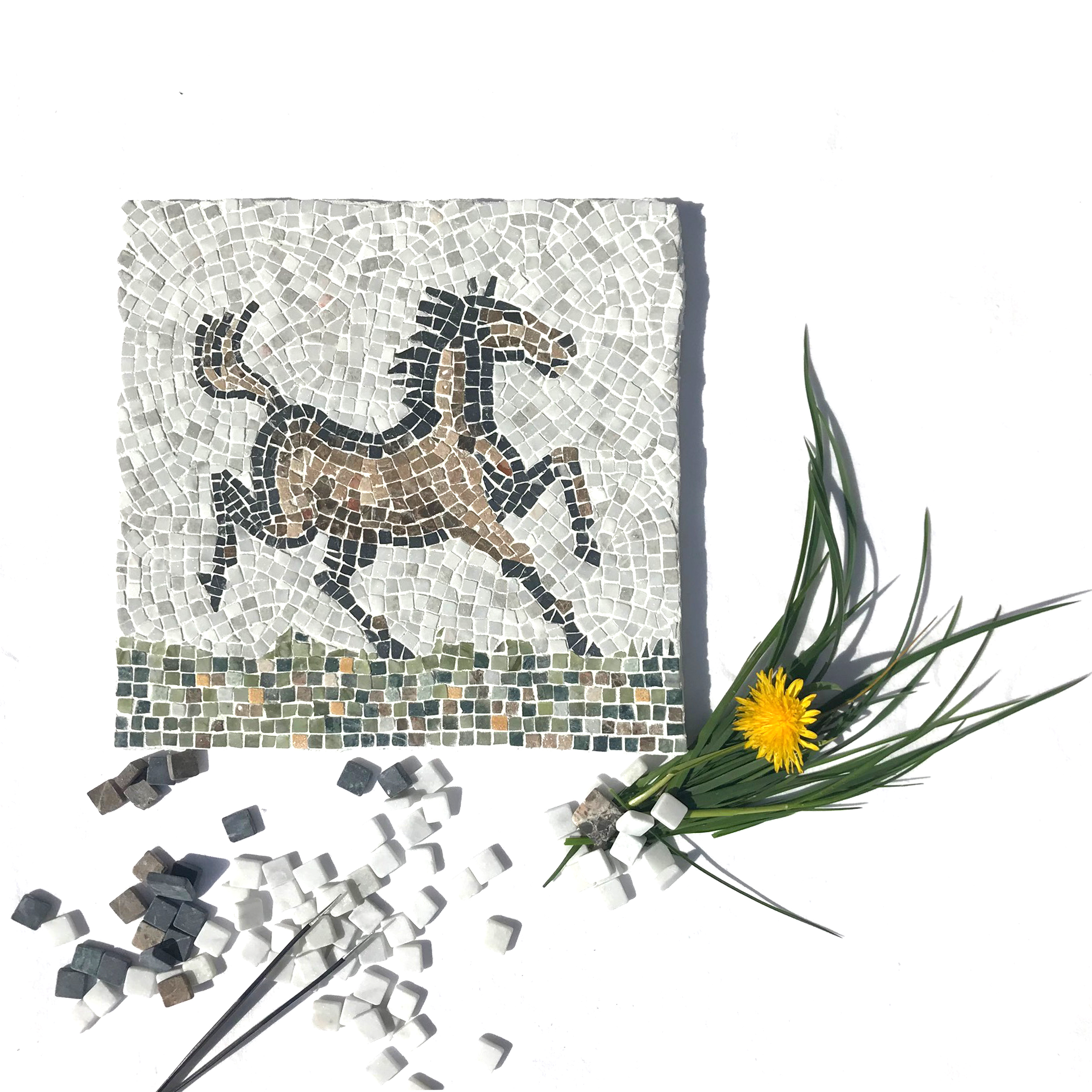 Mosaïque en marbre de Carrare et marbre de Vérone. 210x210mm