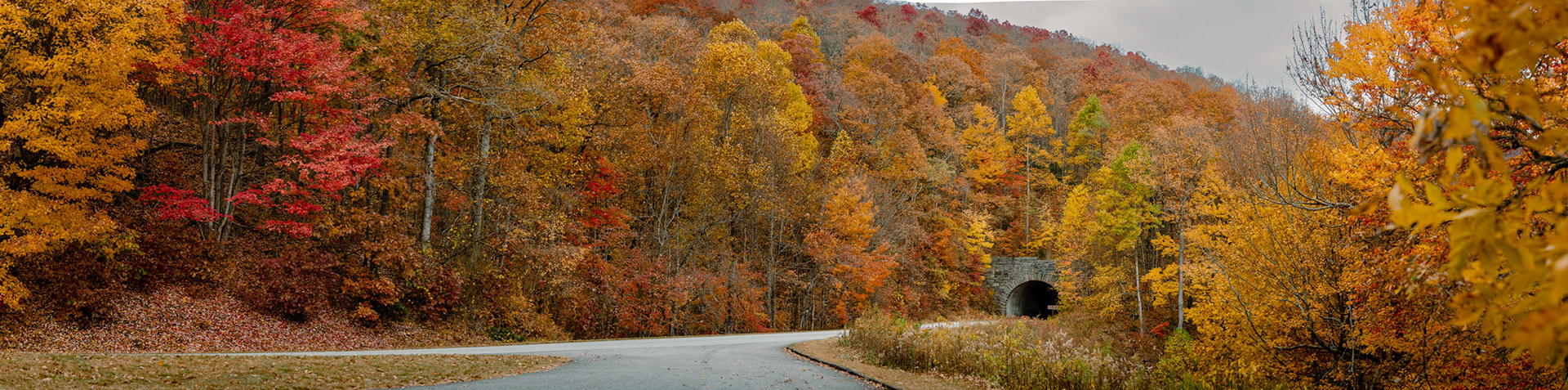 Panorama of a tunnel on the blue ridge parkway in North Carolina