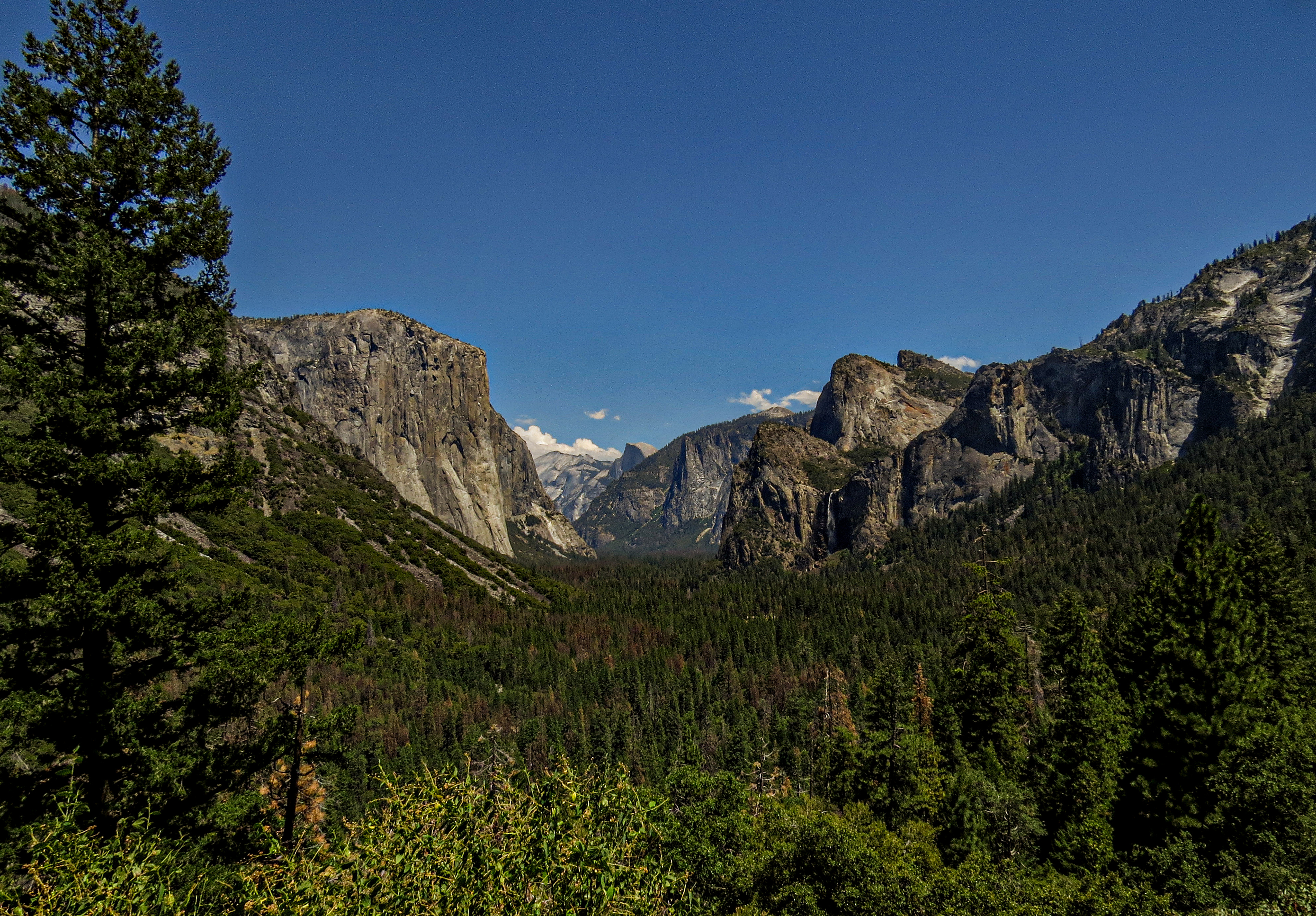 Yosemite Valley, CA,