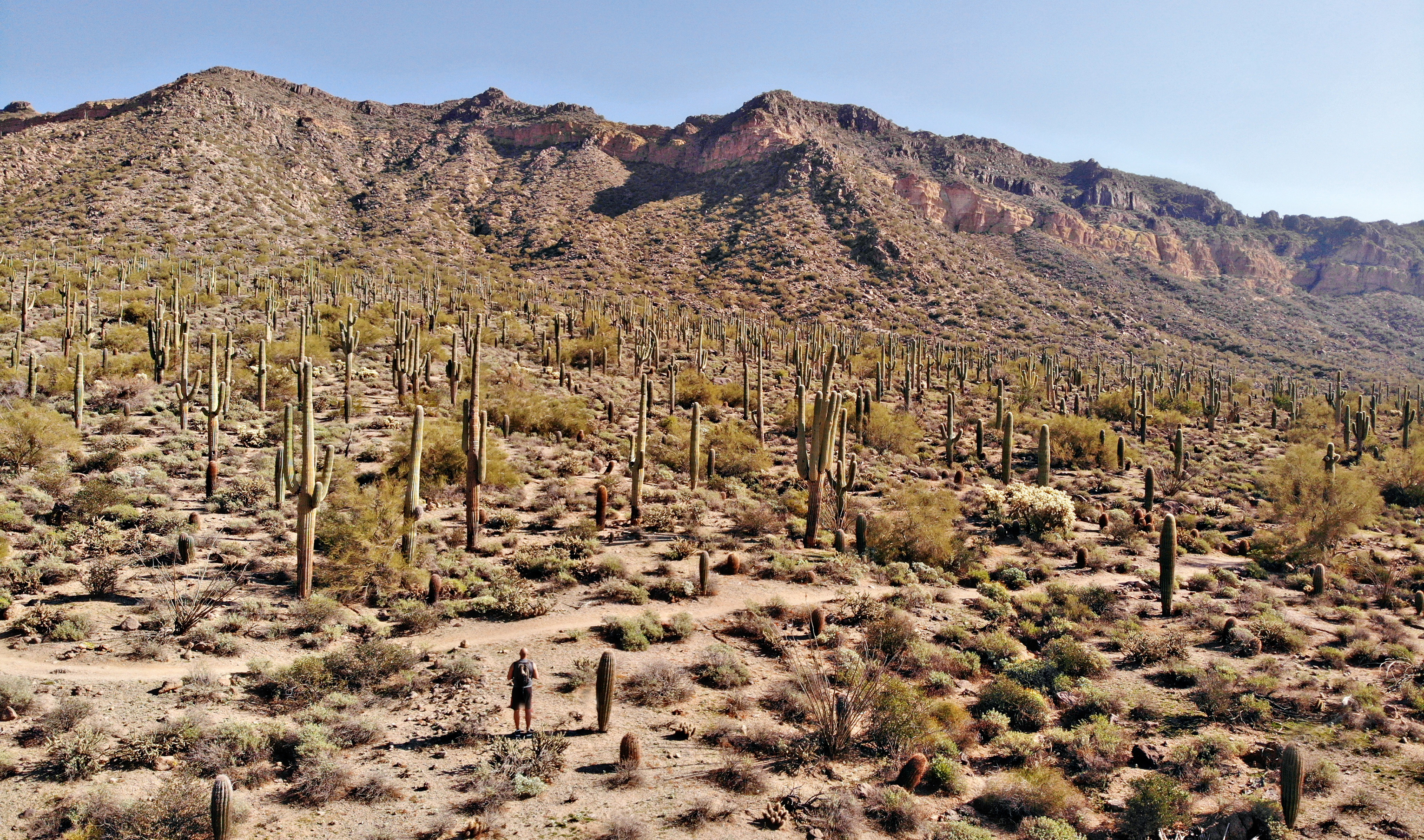 Usery Mountain Regional Park