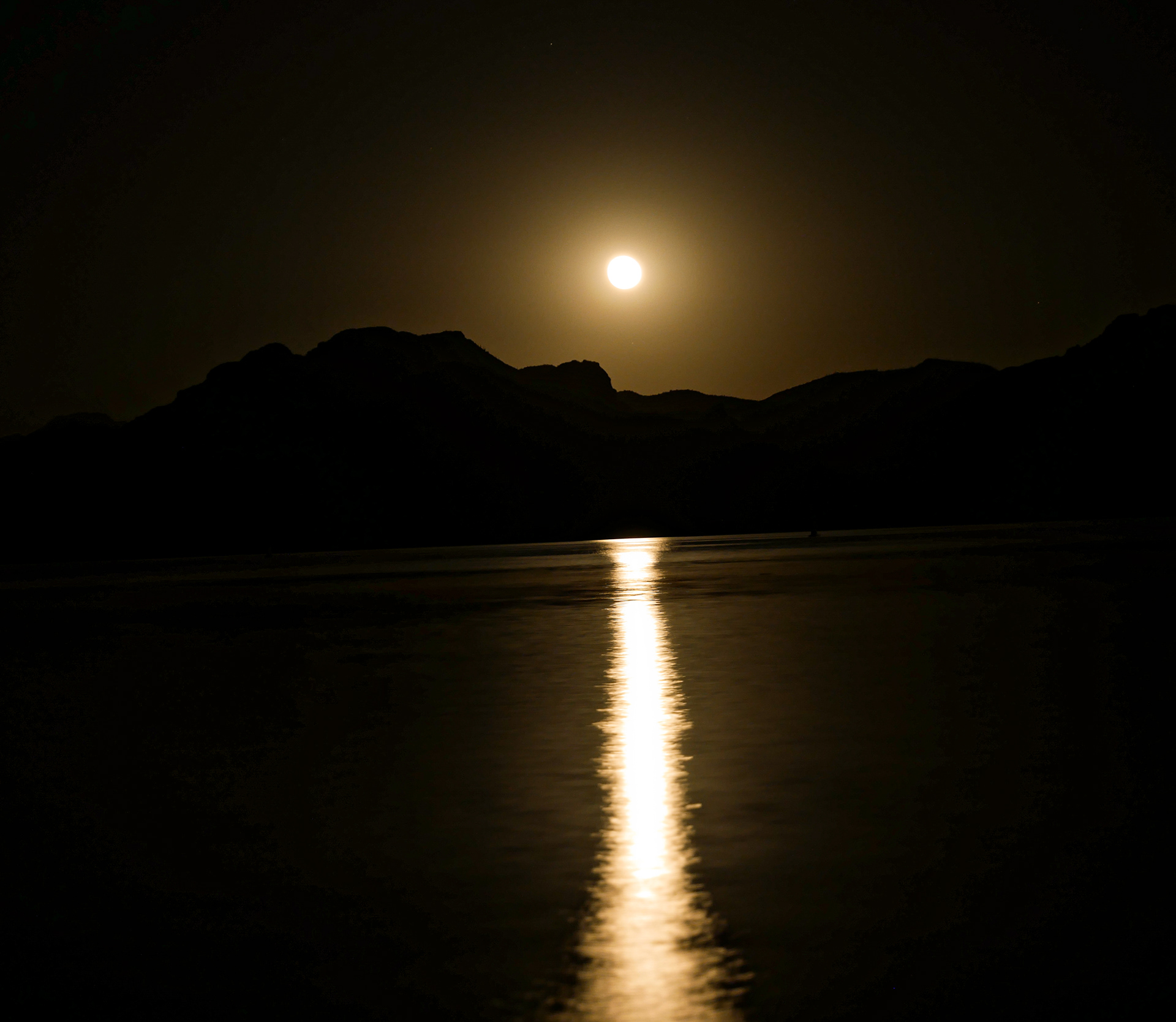 Moon Rise Over Sagauro Lake