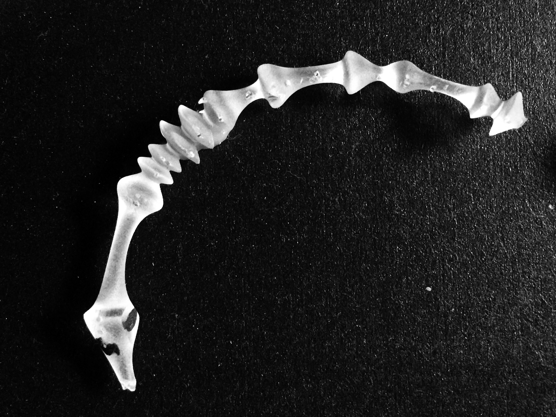 3D printed sketch