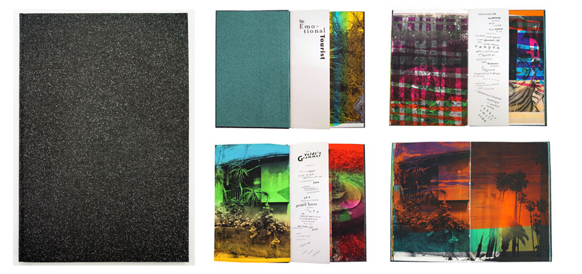 The Emotional Tourist, hard cover, 40 pages, 34 x 22 cm, text Marshall Weber, 2014 