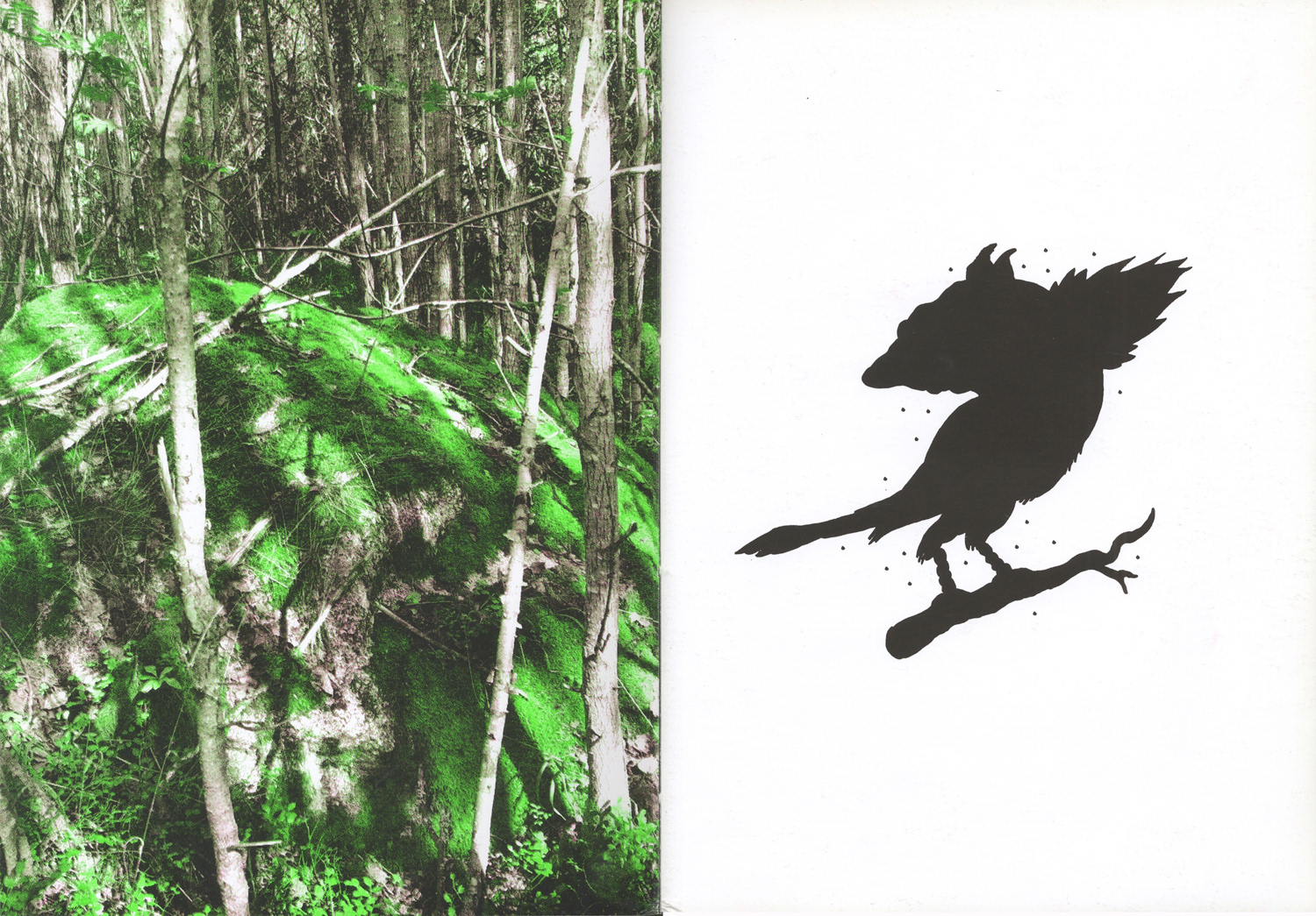 Re:Echo, Silkscreen on heavy white paper. 24 pages + cover, 32 x 23 cm , edition of 50 ex, signed & numbered.