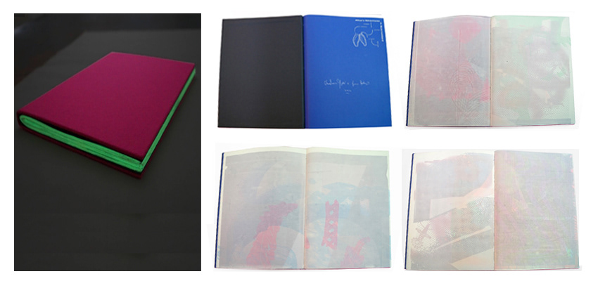 Alice's Adventure in Quantum Land,  34 x 25 cm, 44 pages hard cover, glow in the dark ink, 2014