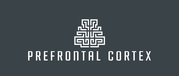 prefrontal cortex