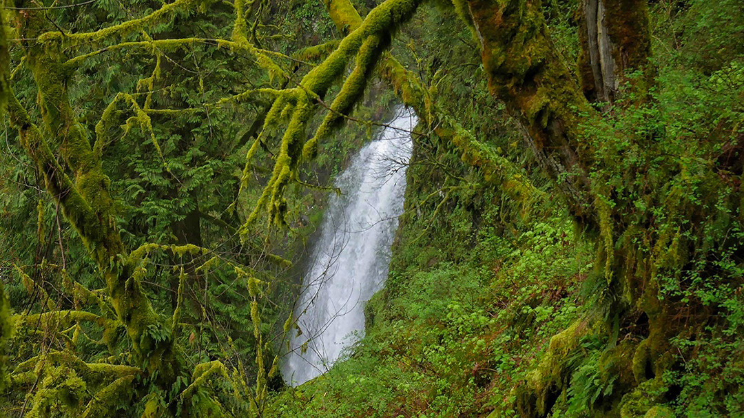 PNW Waterfall