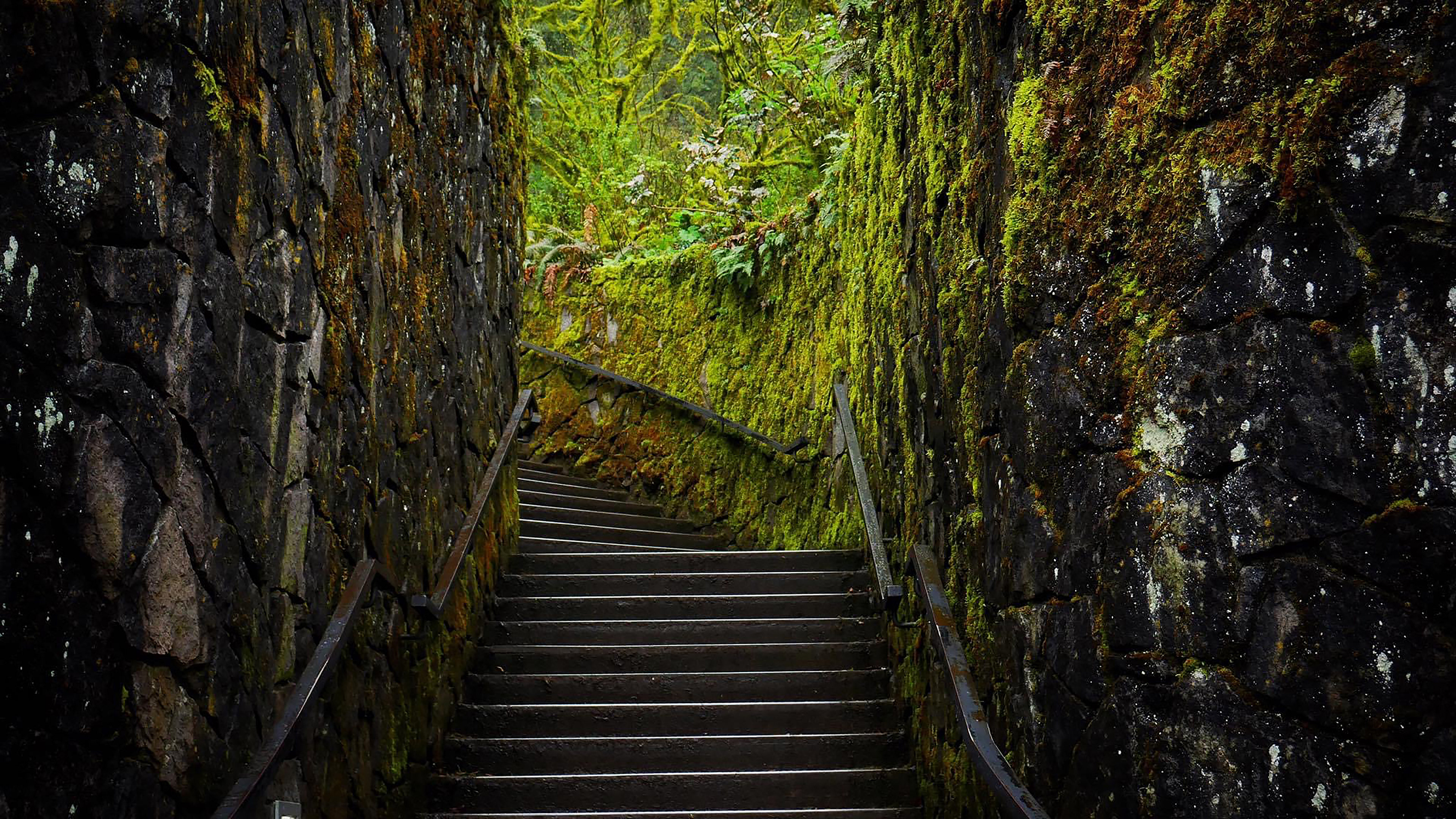 Hidden Paths