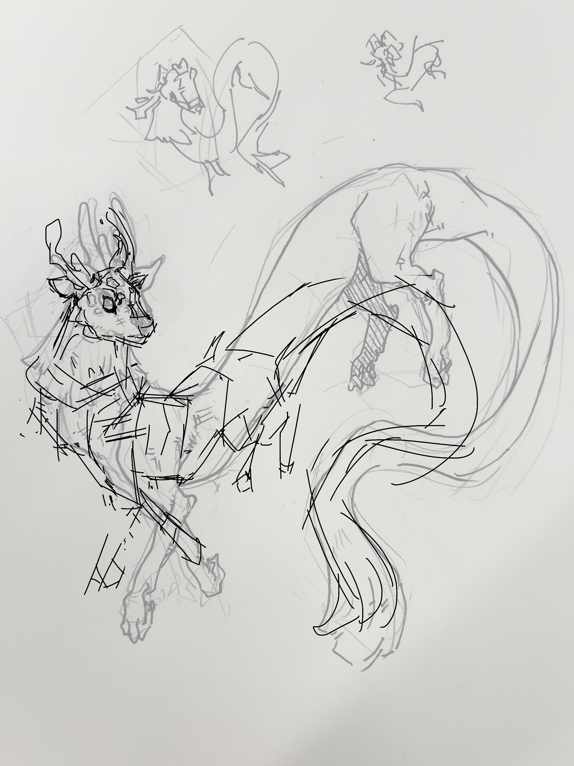 Dragon Concept Sketches