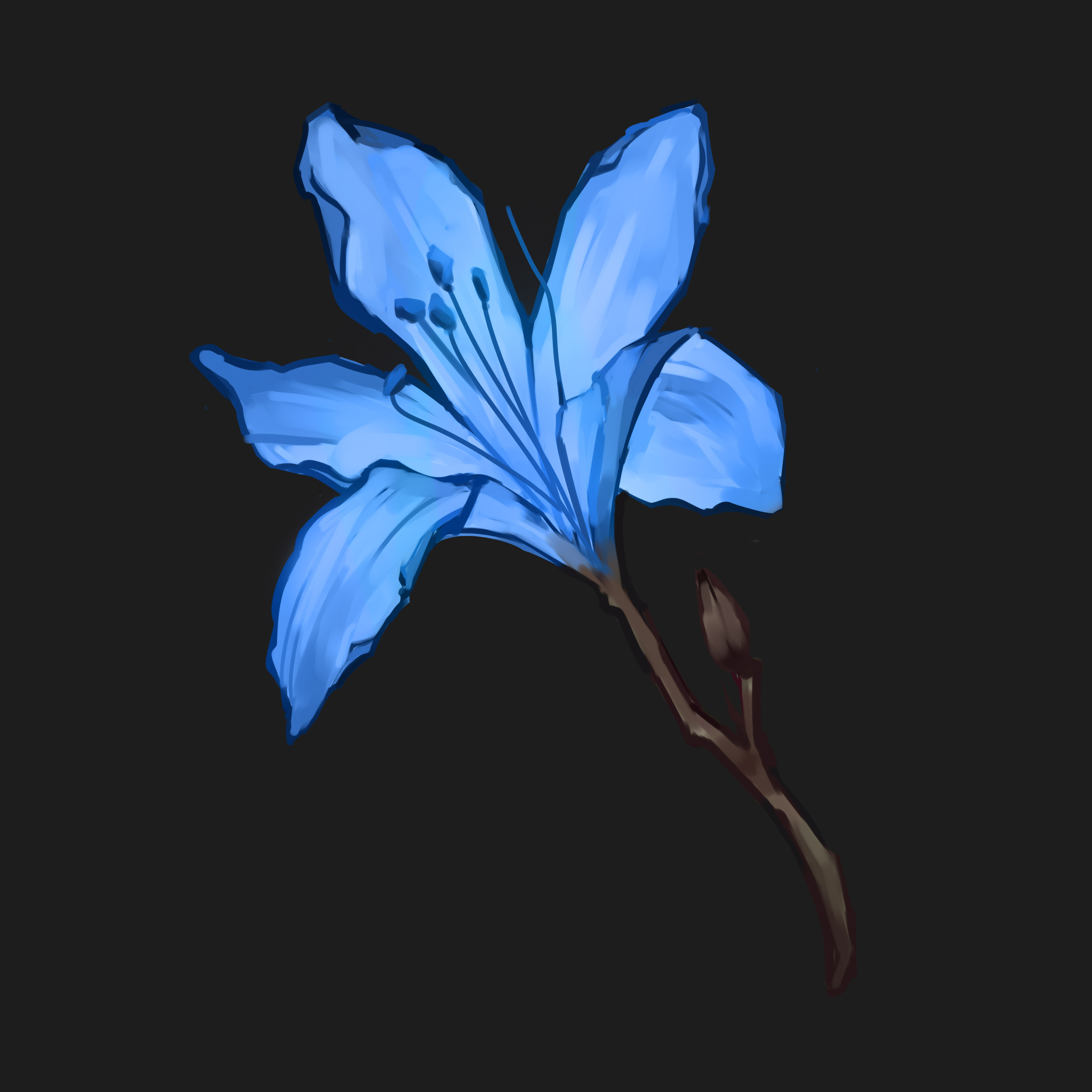 Blue Flower