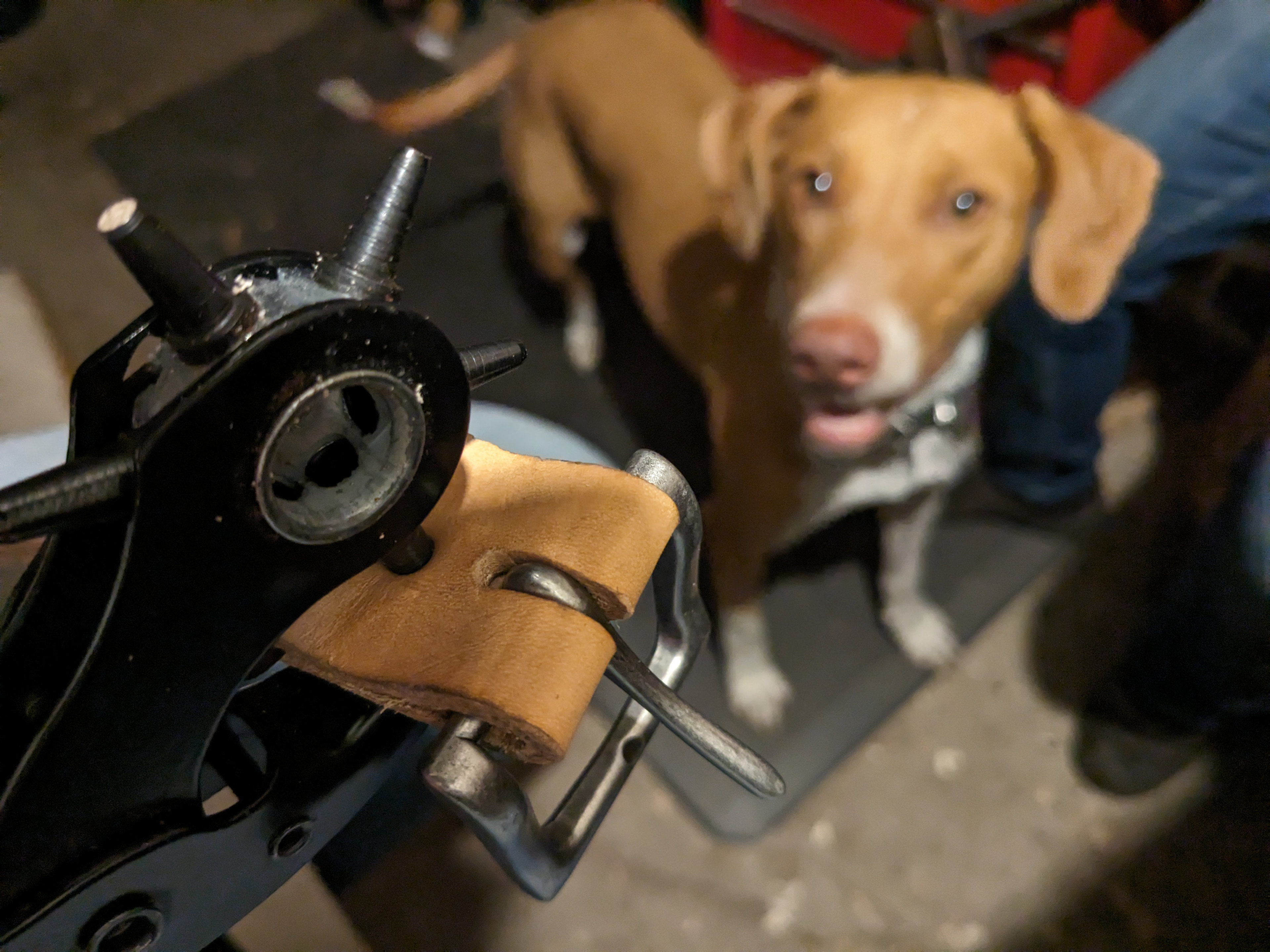 Punching holes for hardware featuring Gabby!