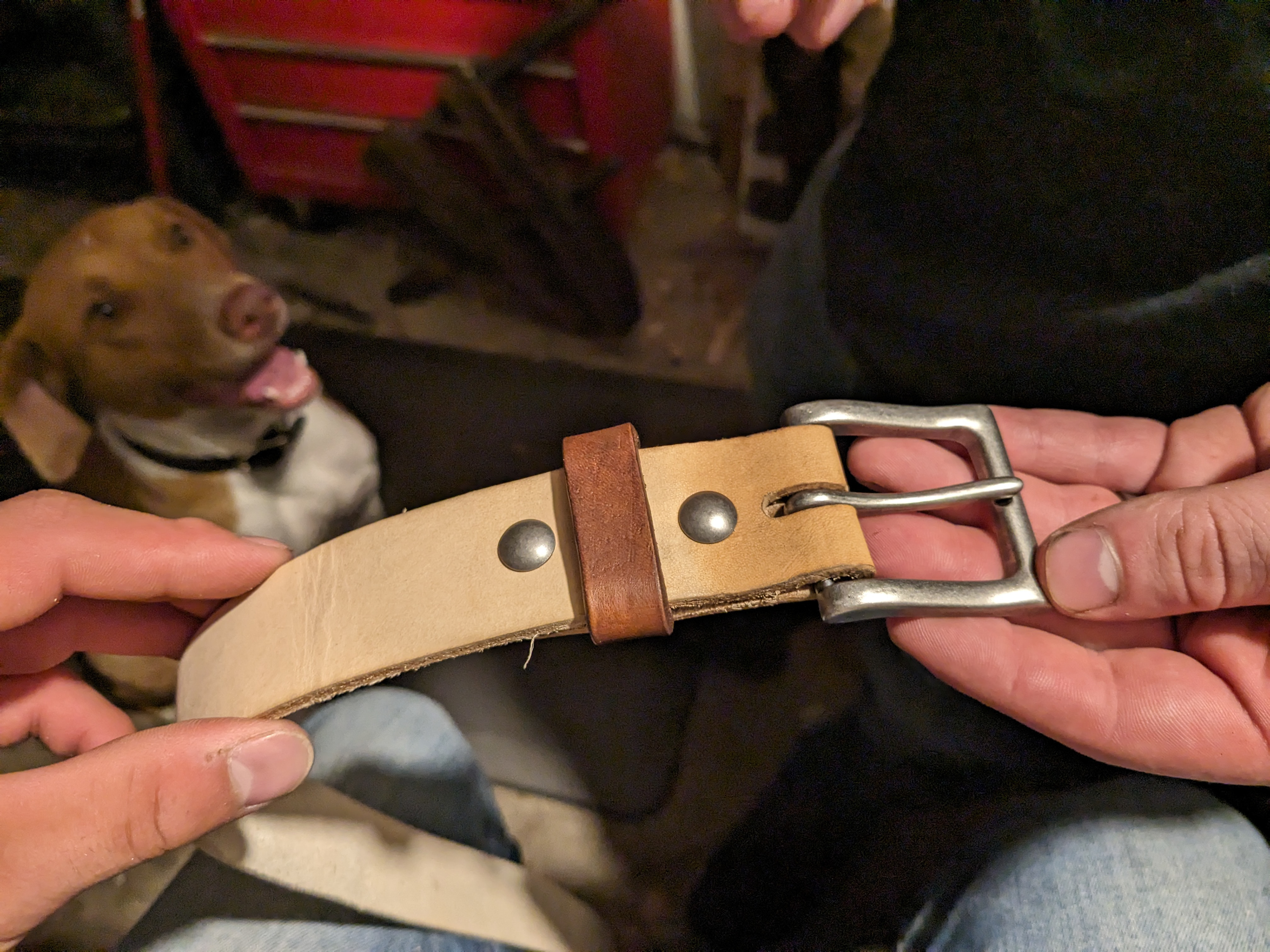 Psssst, they may look like rivets but they're actually screws.