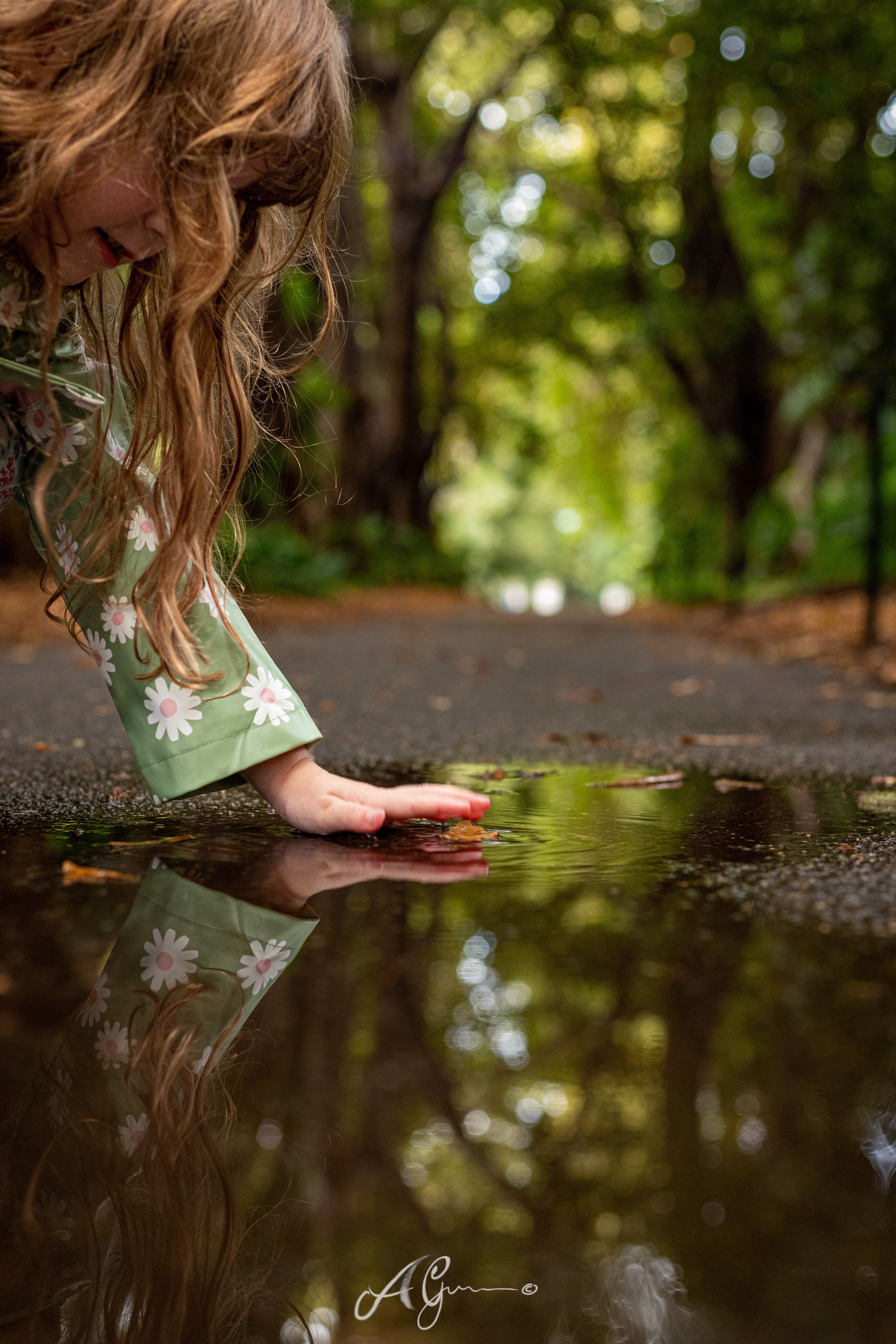Botanical Reflection