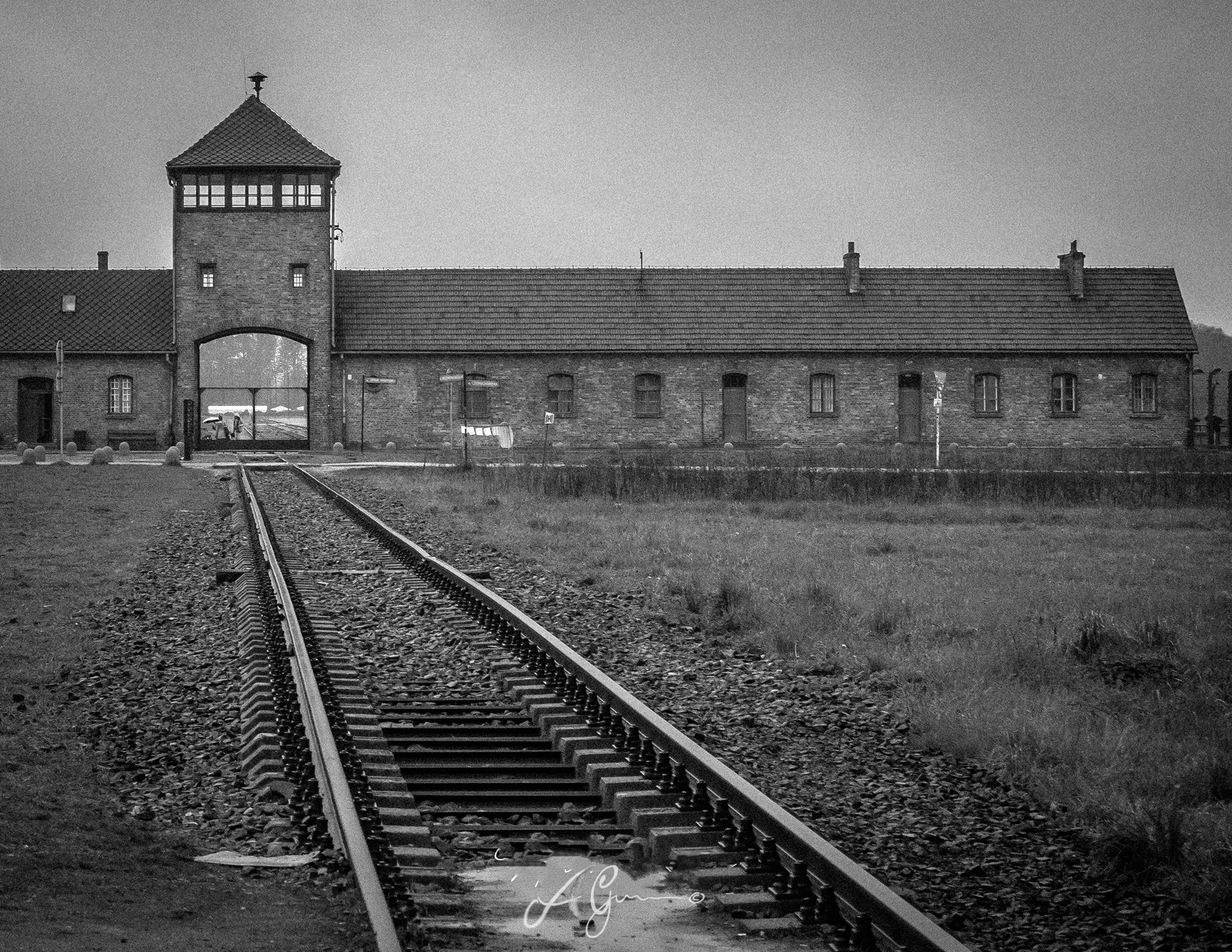 auschwitz birkenau