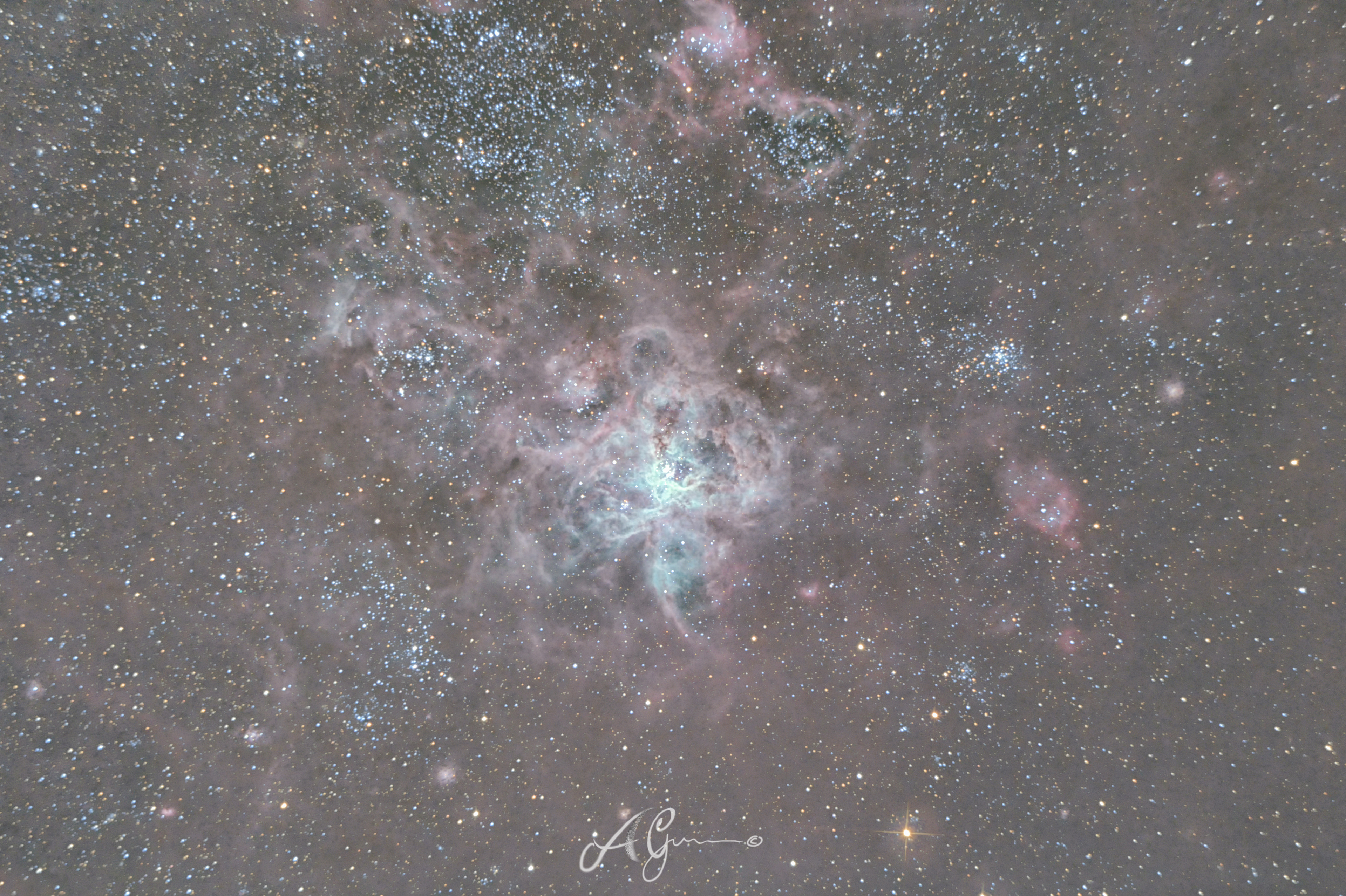 Tarantula Nebula