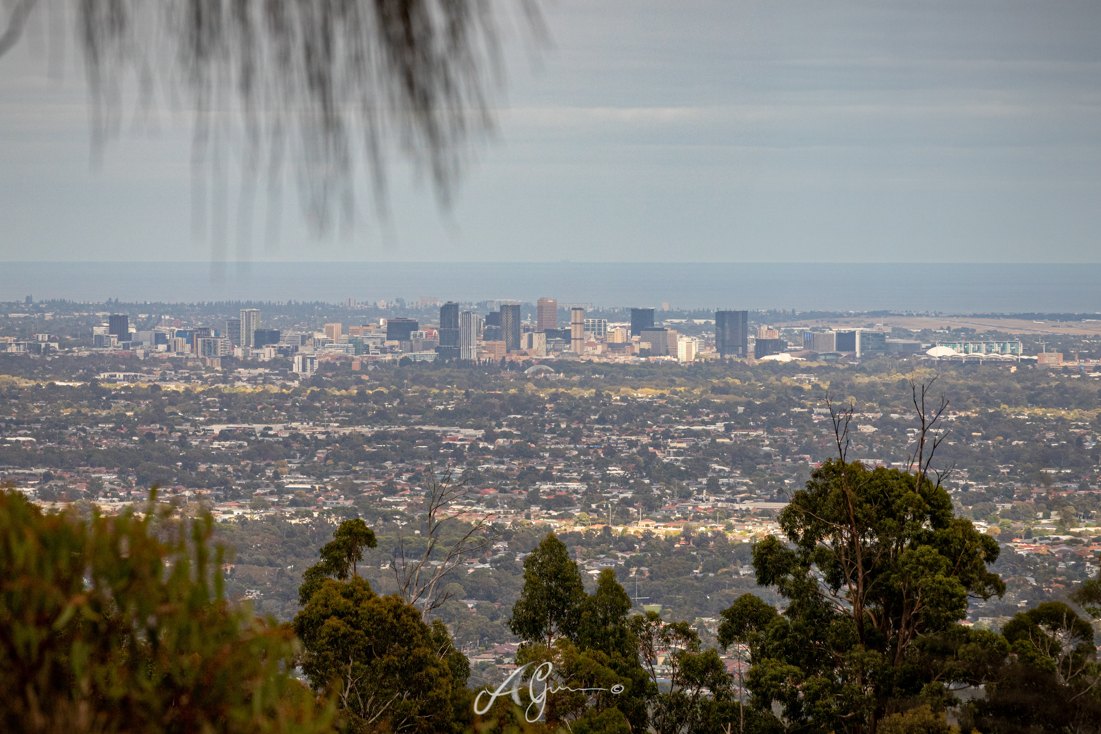 Adelaide City