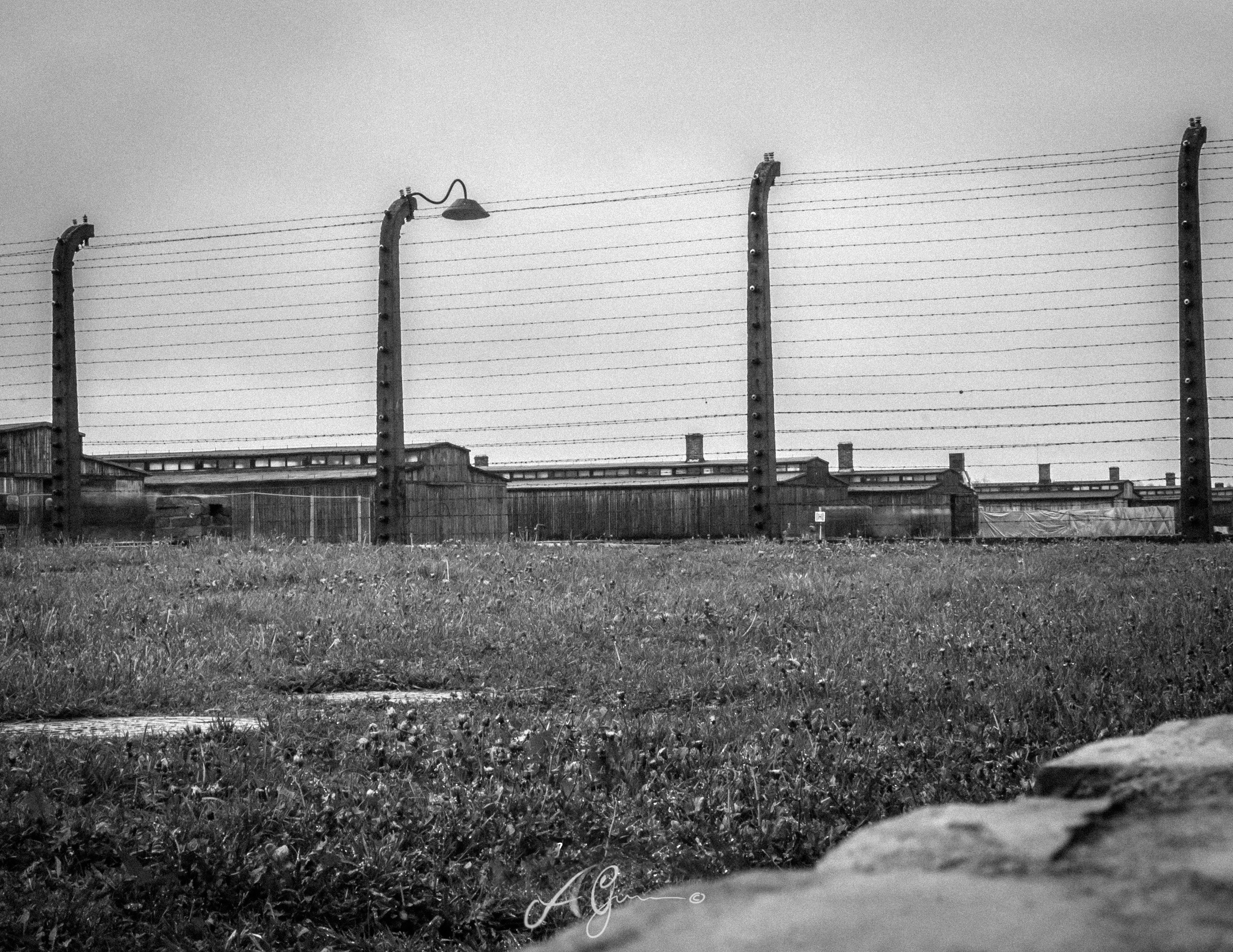 auschwitz birkenau