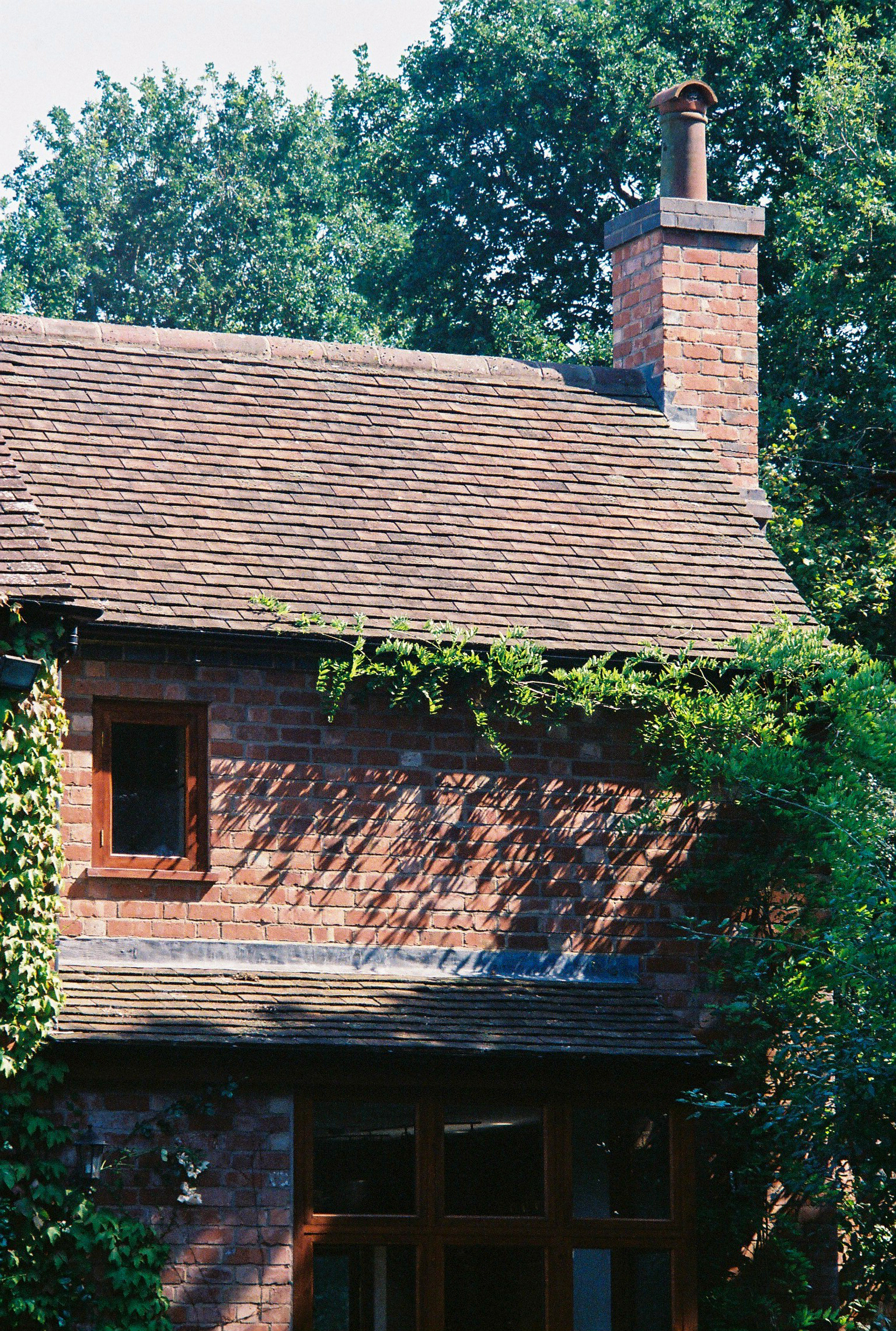 extension wisteria