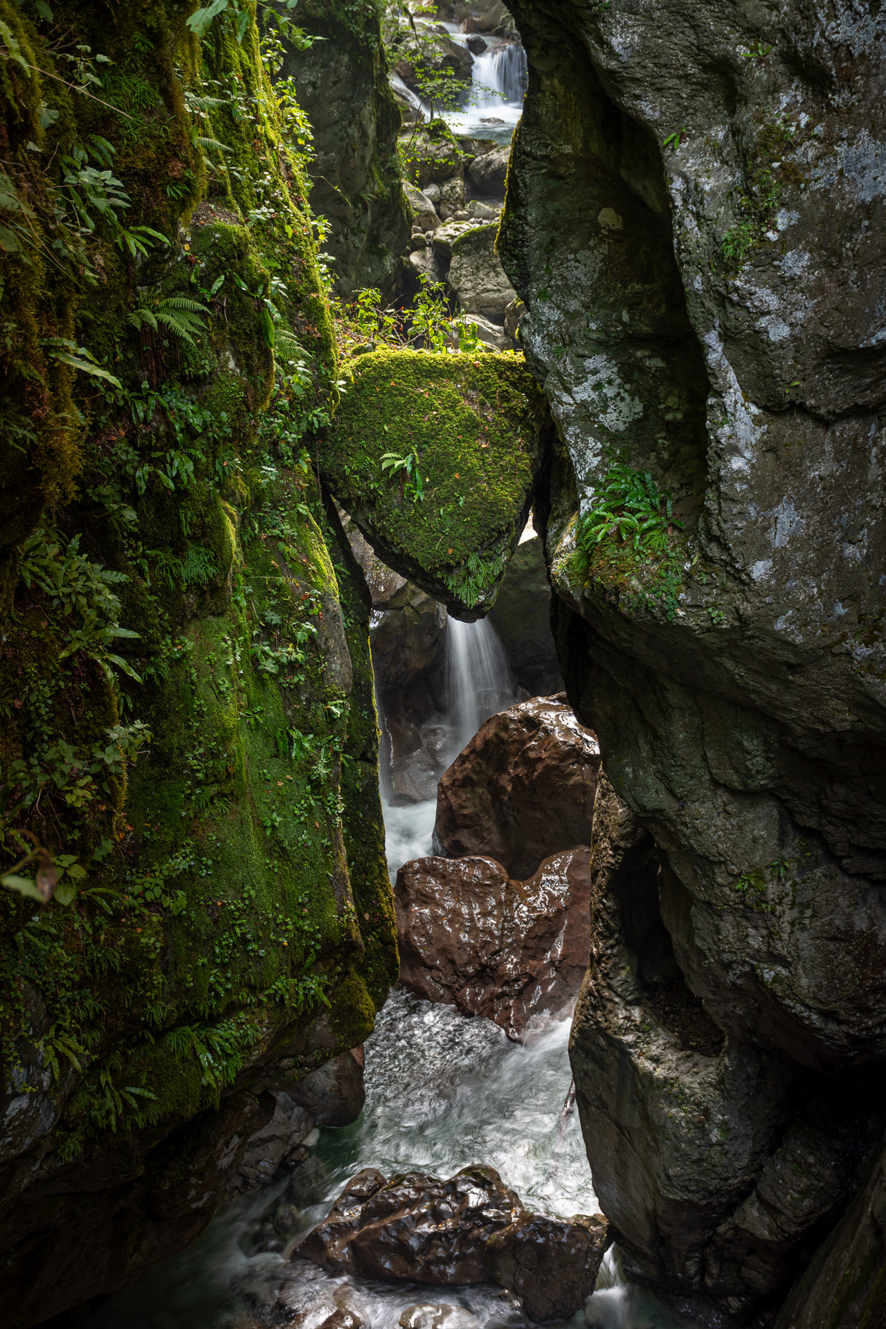 Medvedova glava, Tolminska korita