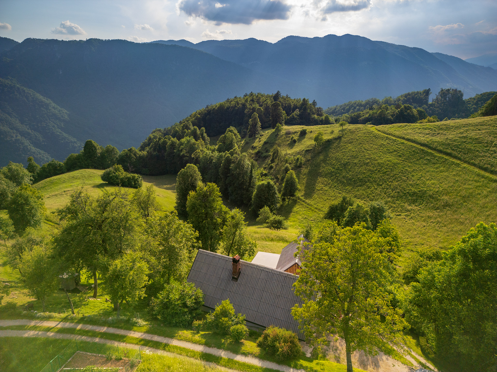 Pr Pelaku, Prapetno Brdo