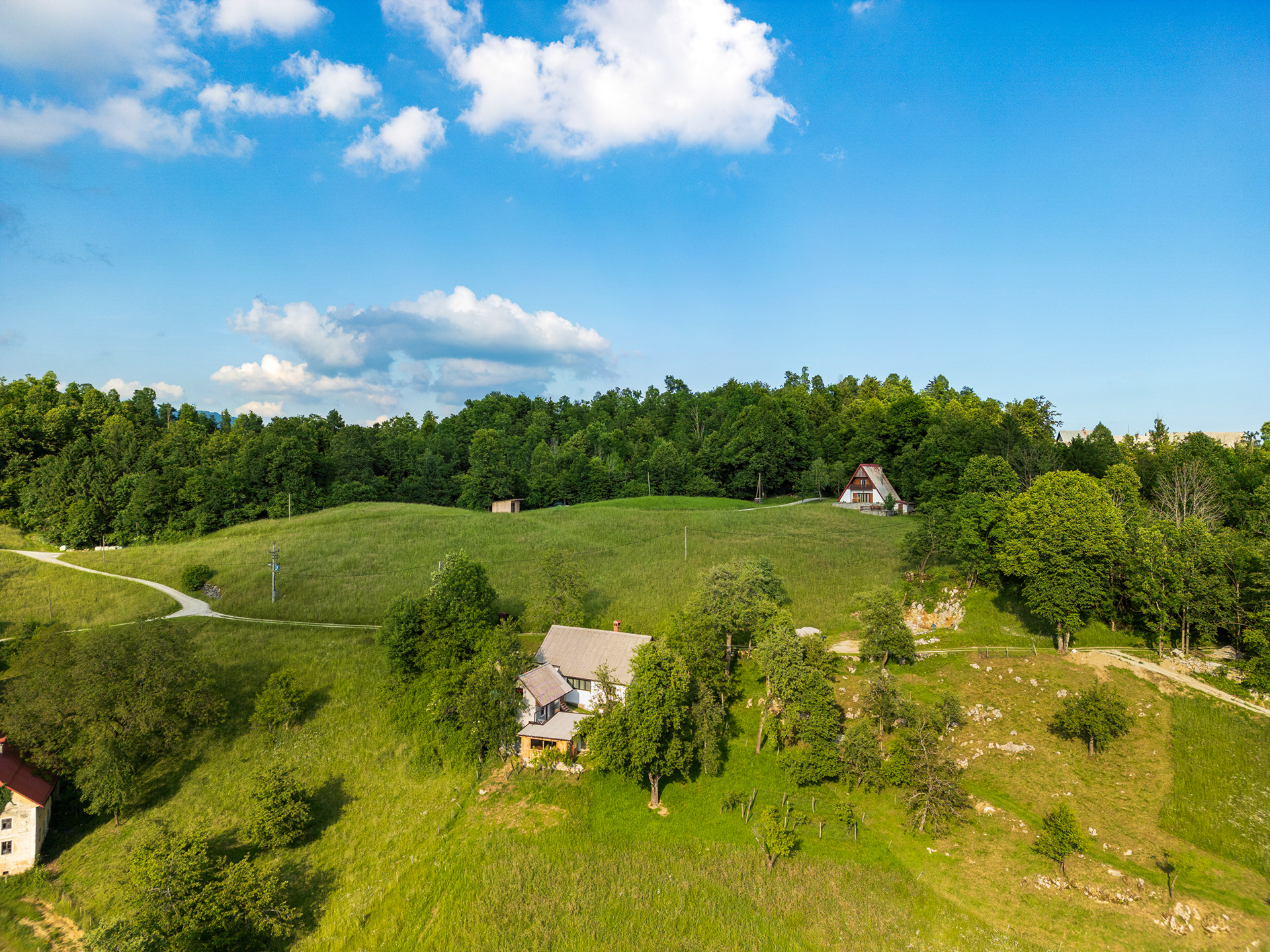 Pr Pelaku, Prapetno Brdo