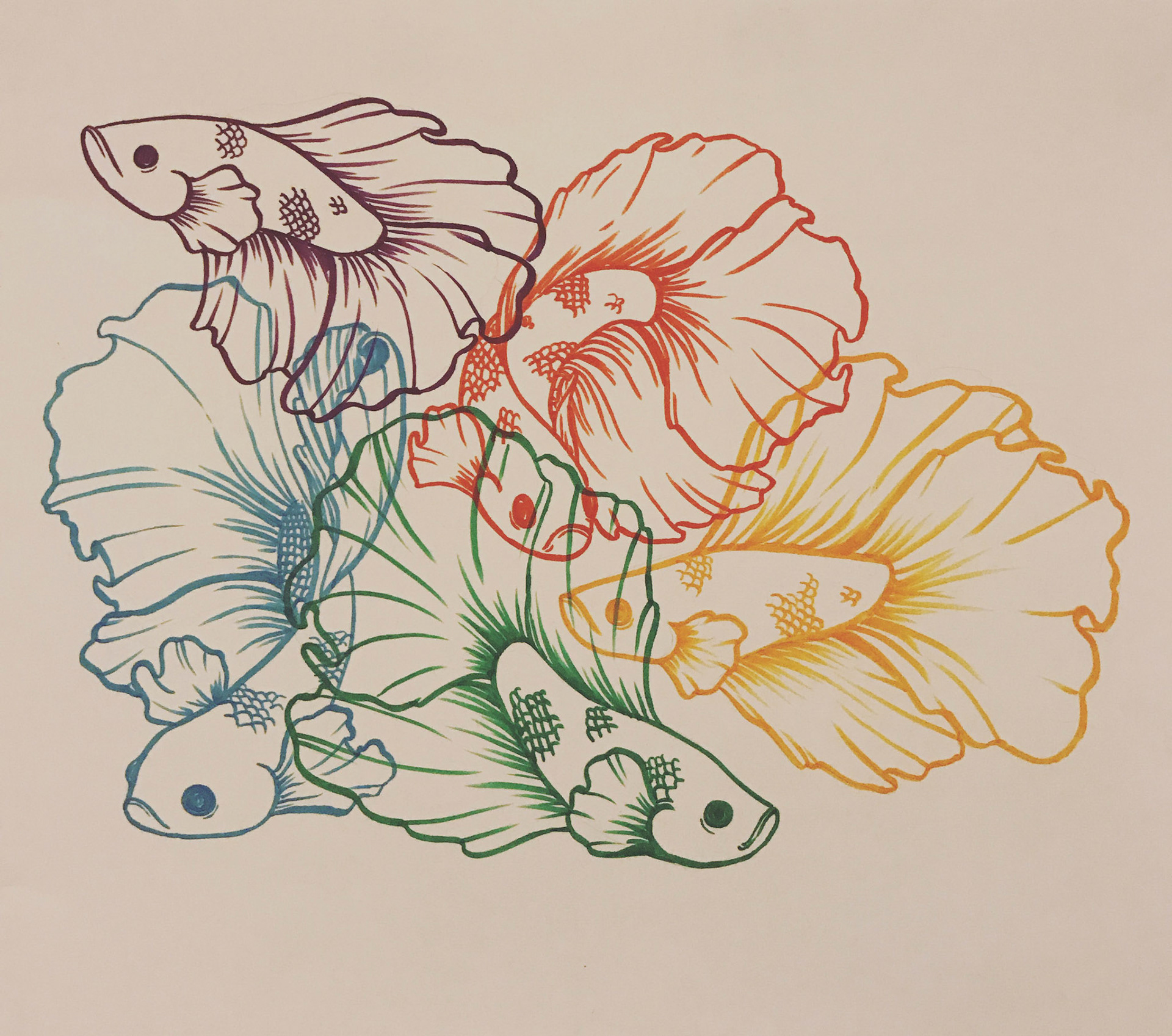Betta Rainbow - Marker on Paper