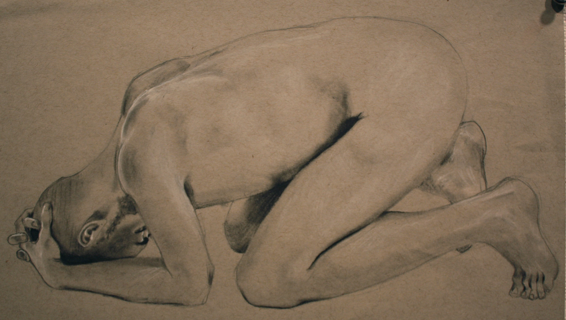 Curl - Graphite on Paper