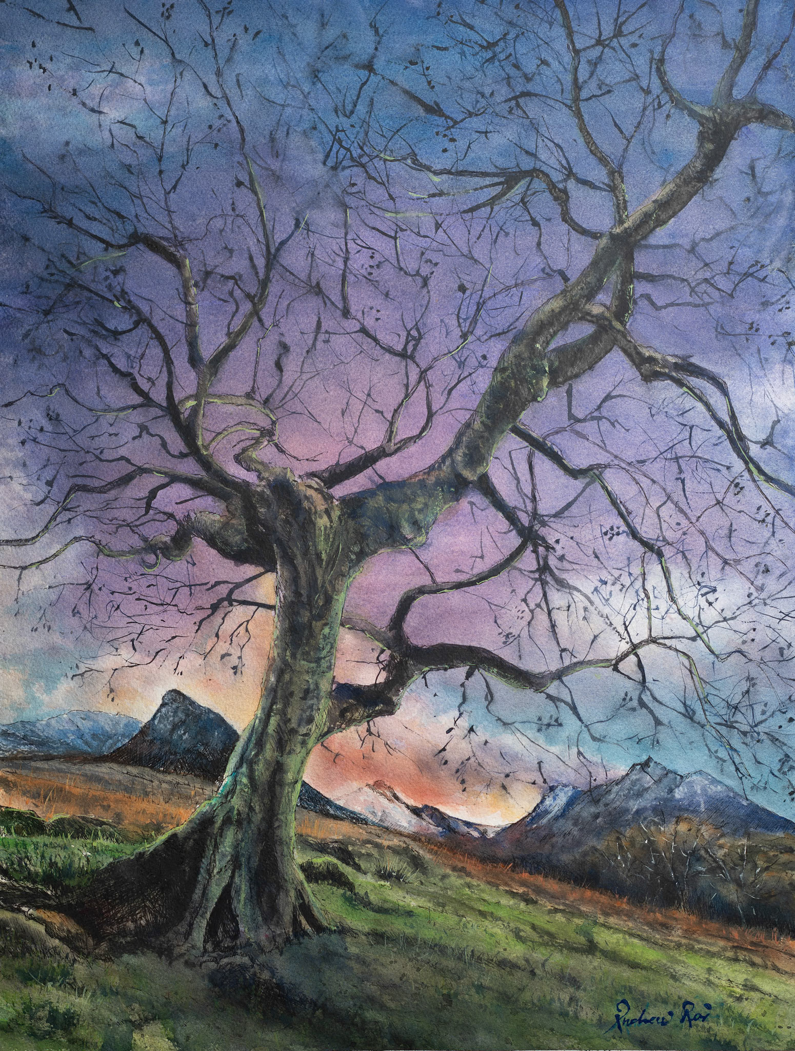 Evening in the Glen - Isle of Arran, UK