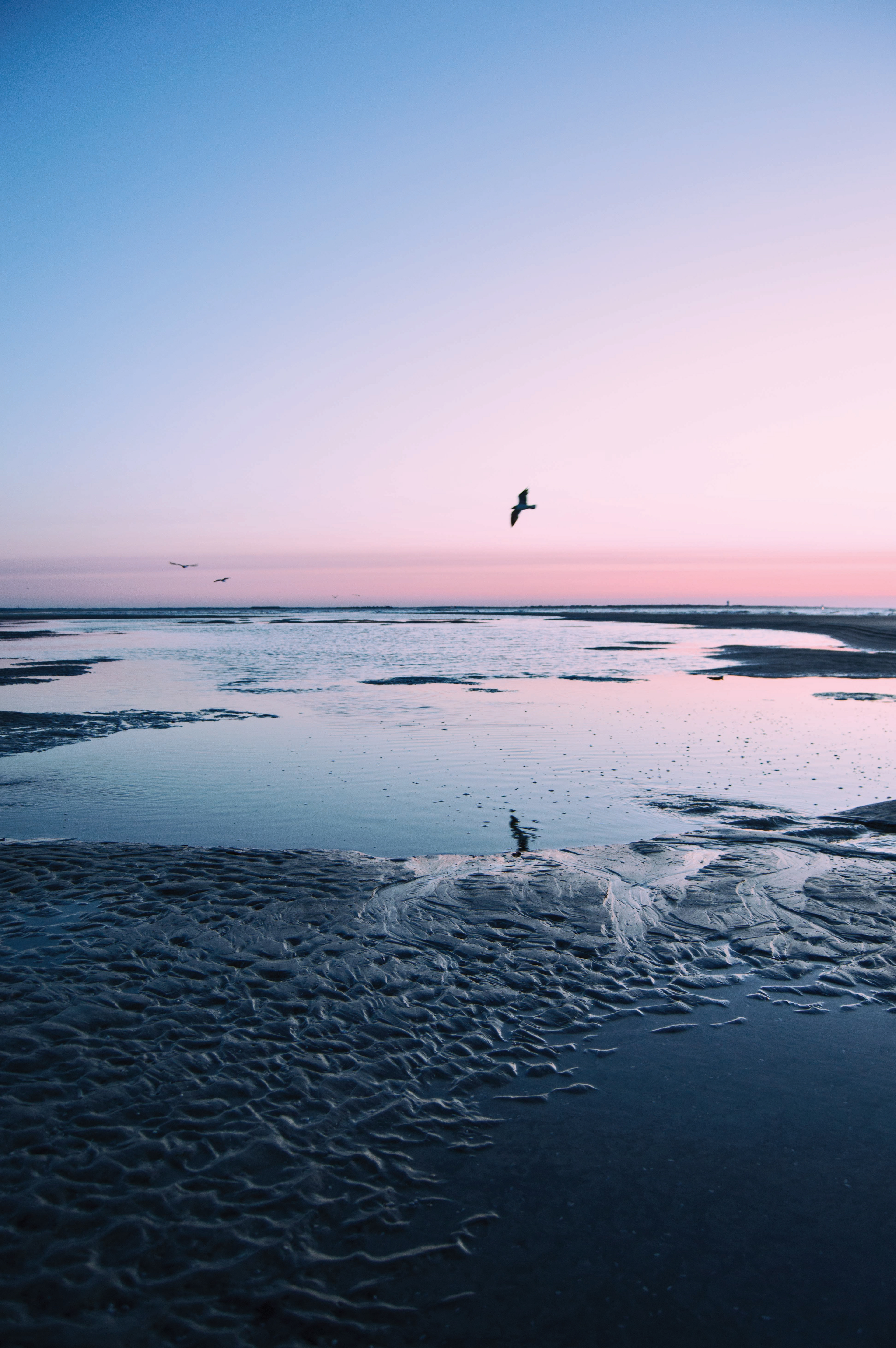 Sunrise New Jersey Shore