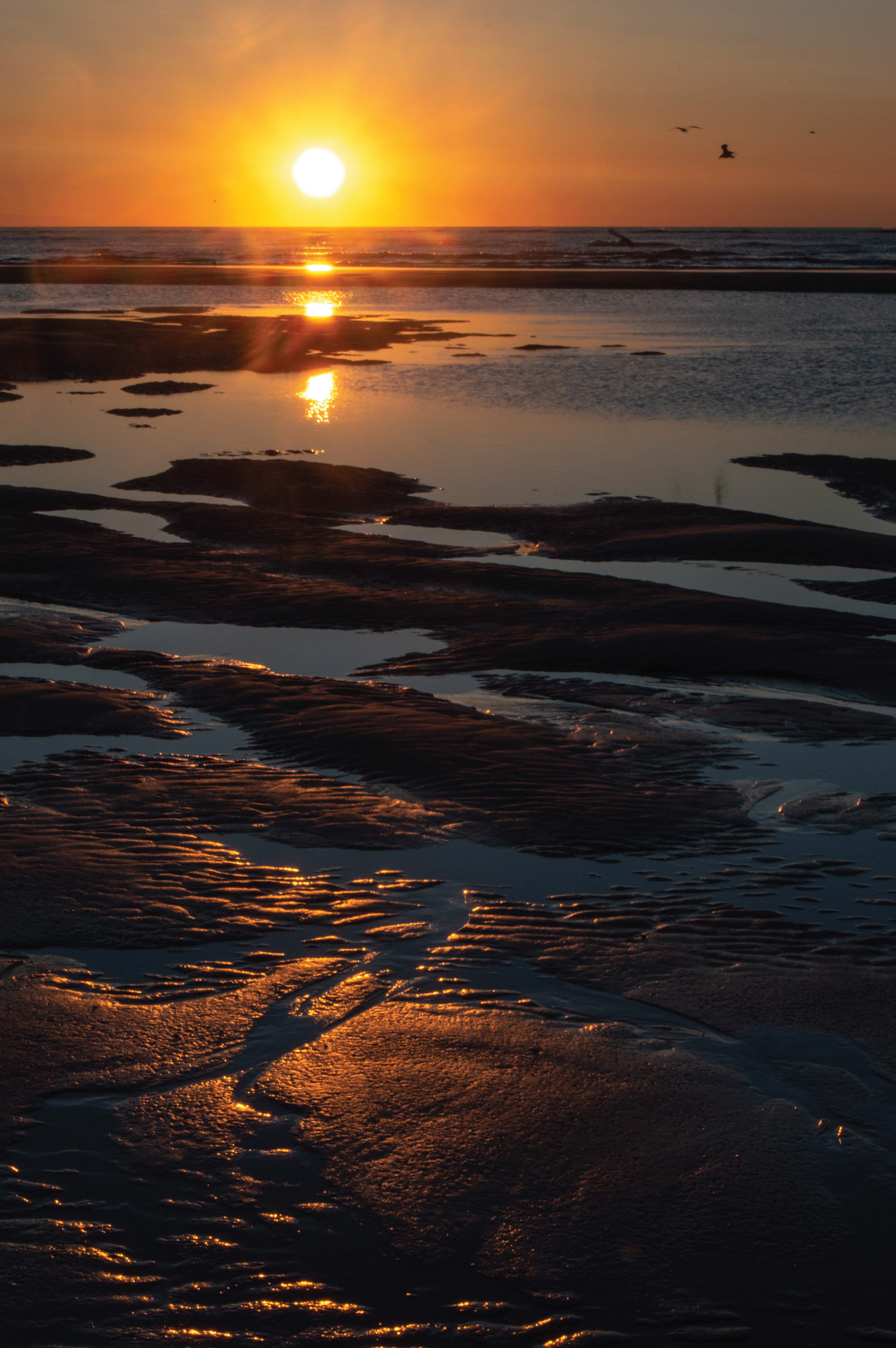 Sunrise New Jersey Shore