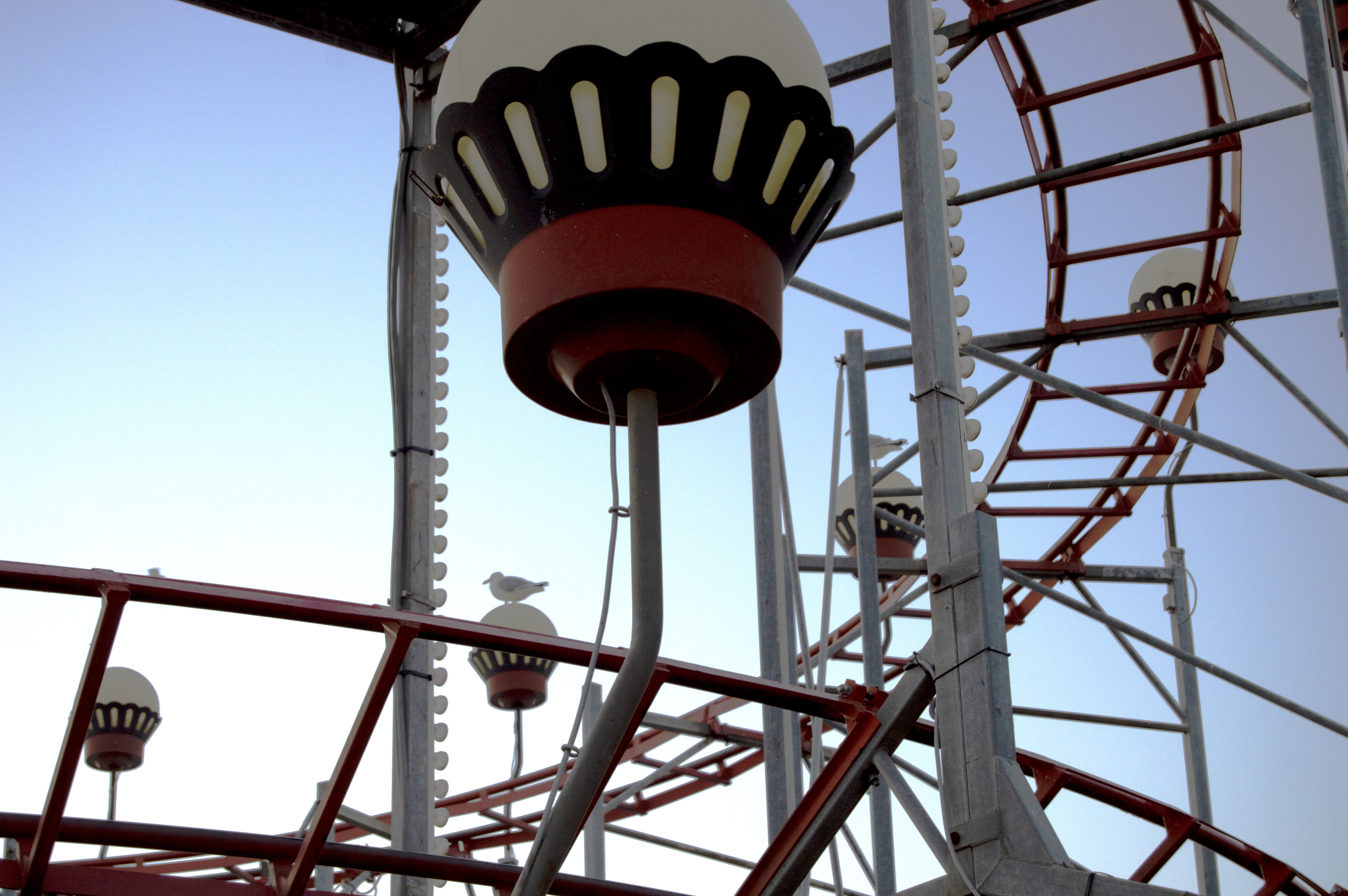 Seagull on roller coaster New Jersey Boardwalk