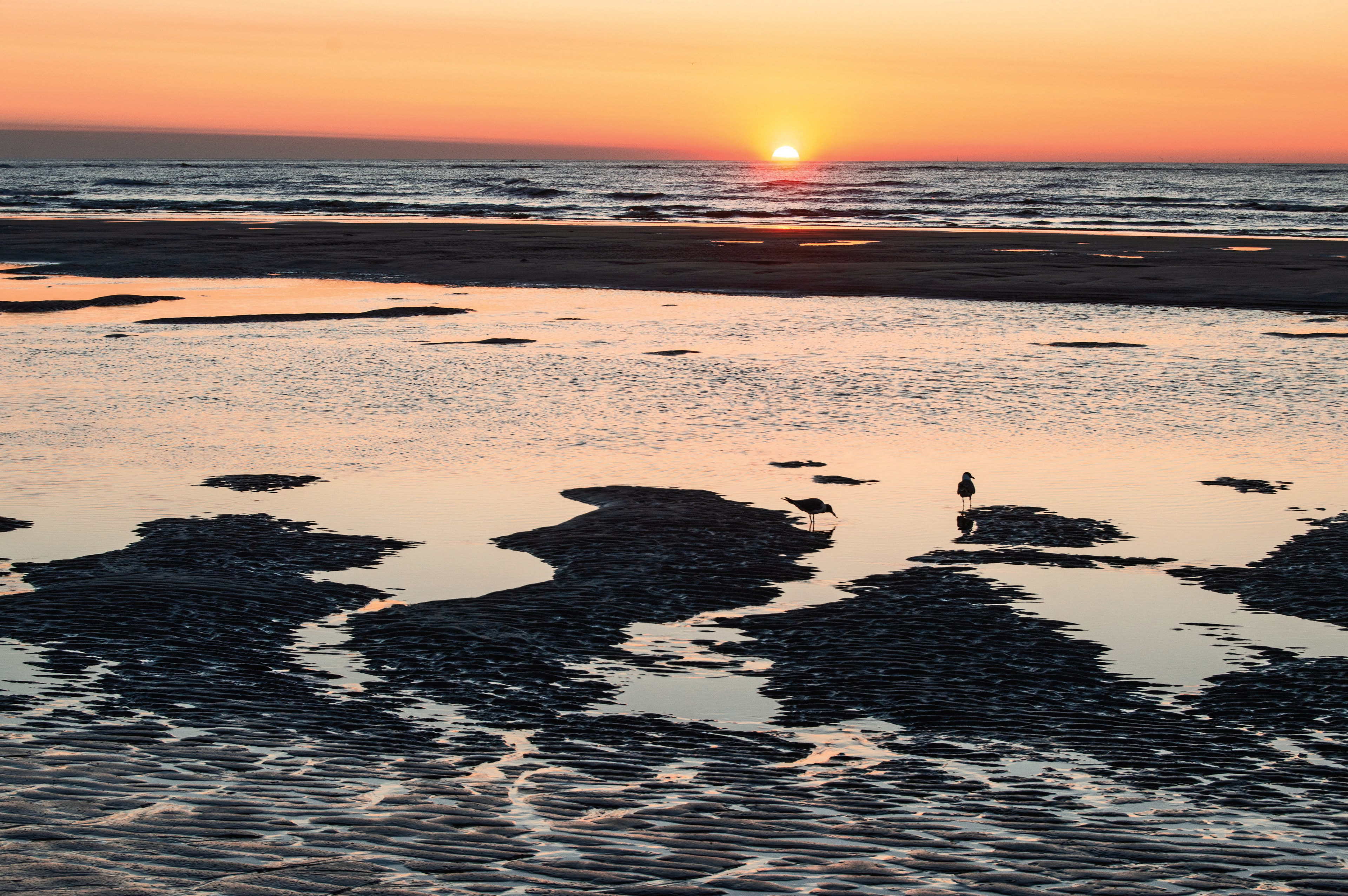 Sunrise New Jersey Shore