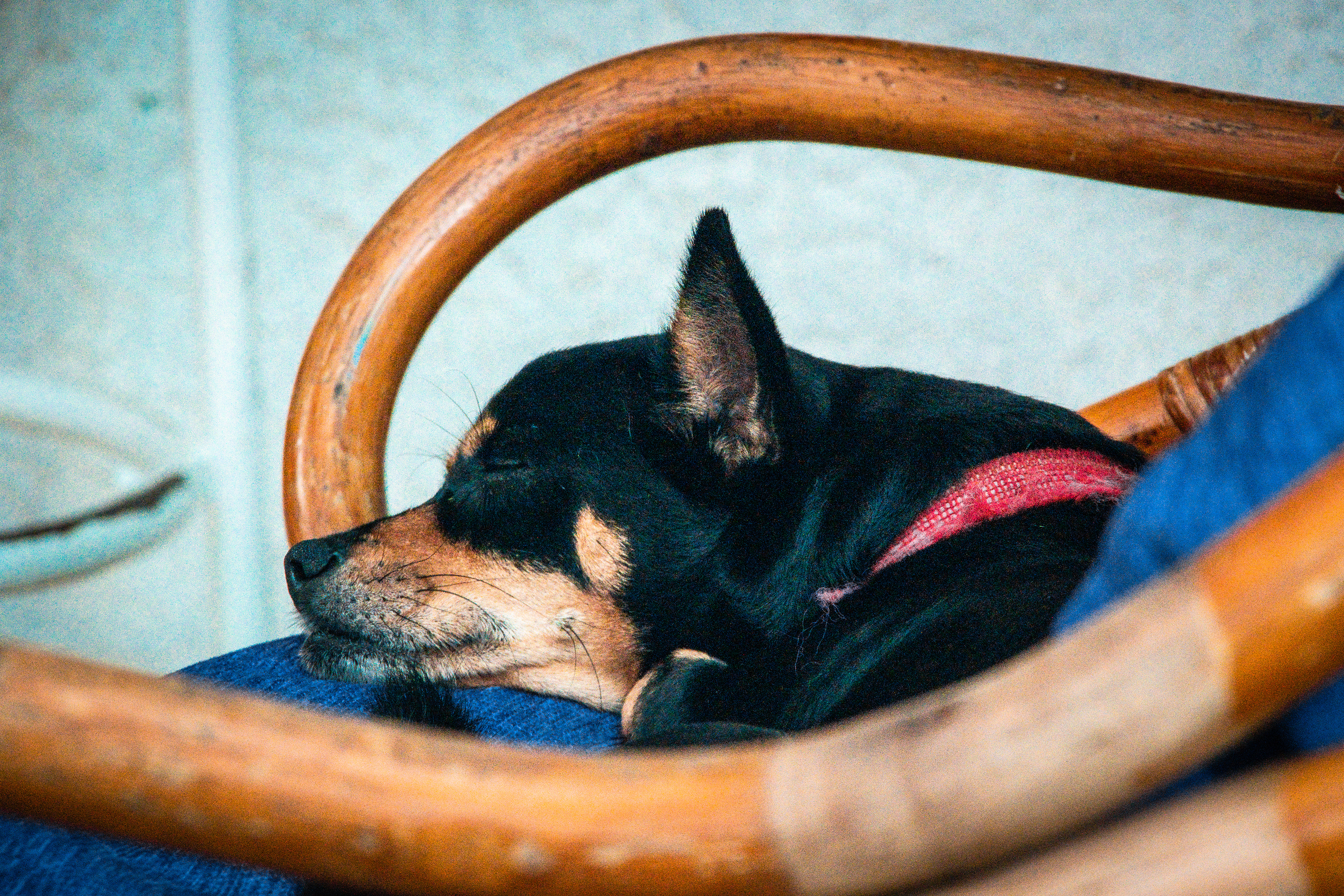 Hotel Kevin July 2021   II