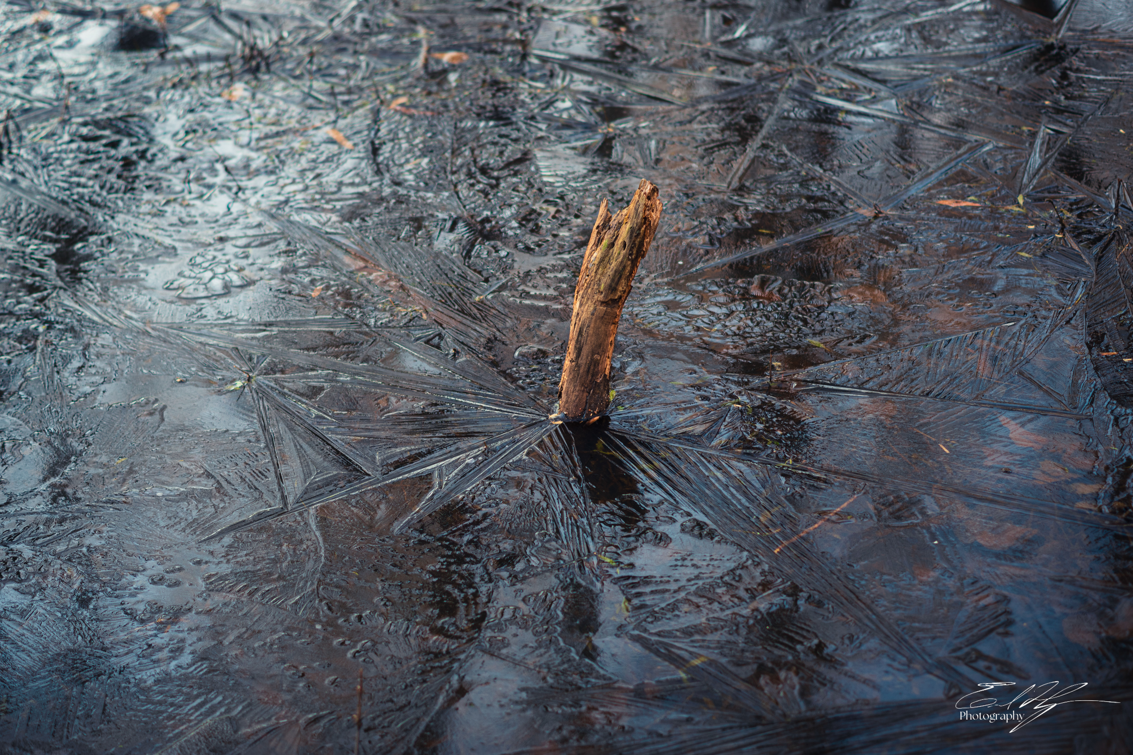 Sandy Creek Ice Portrait   II