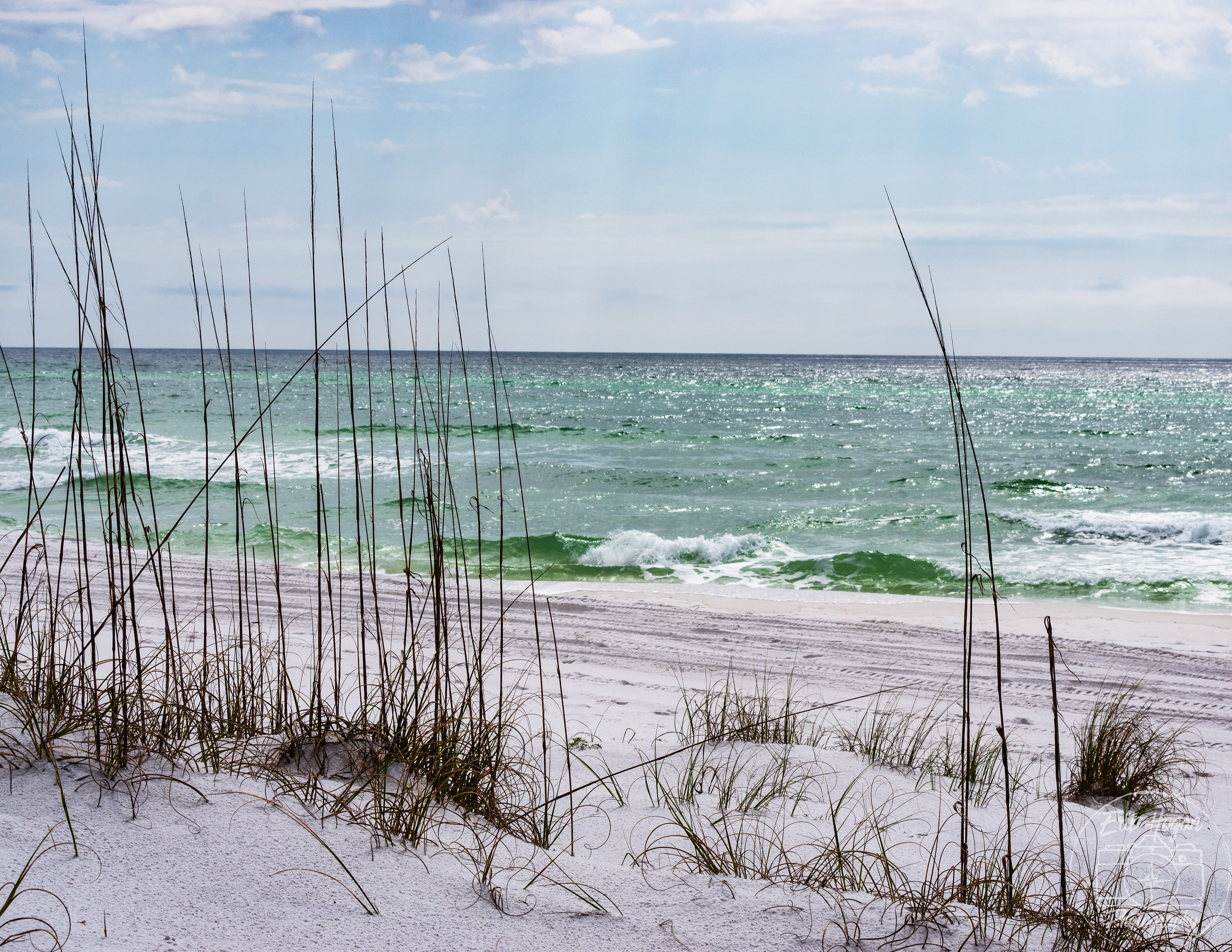 Topsail Hill Preserve State Park March 2024   V