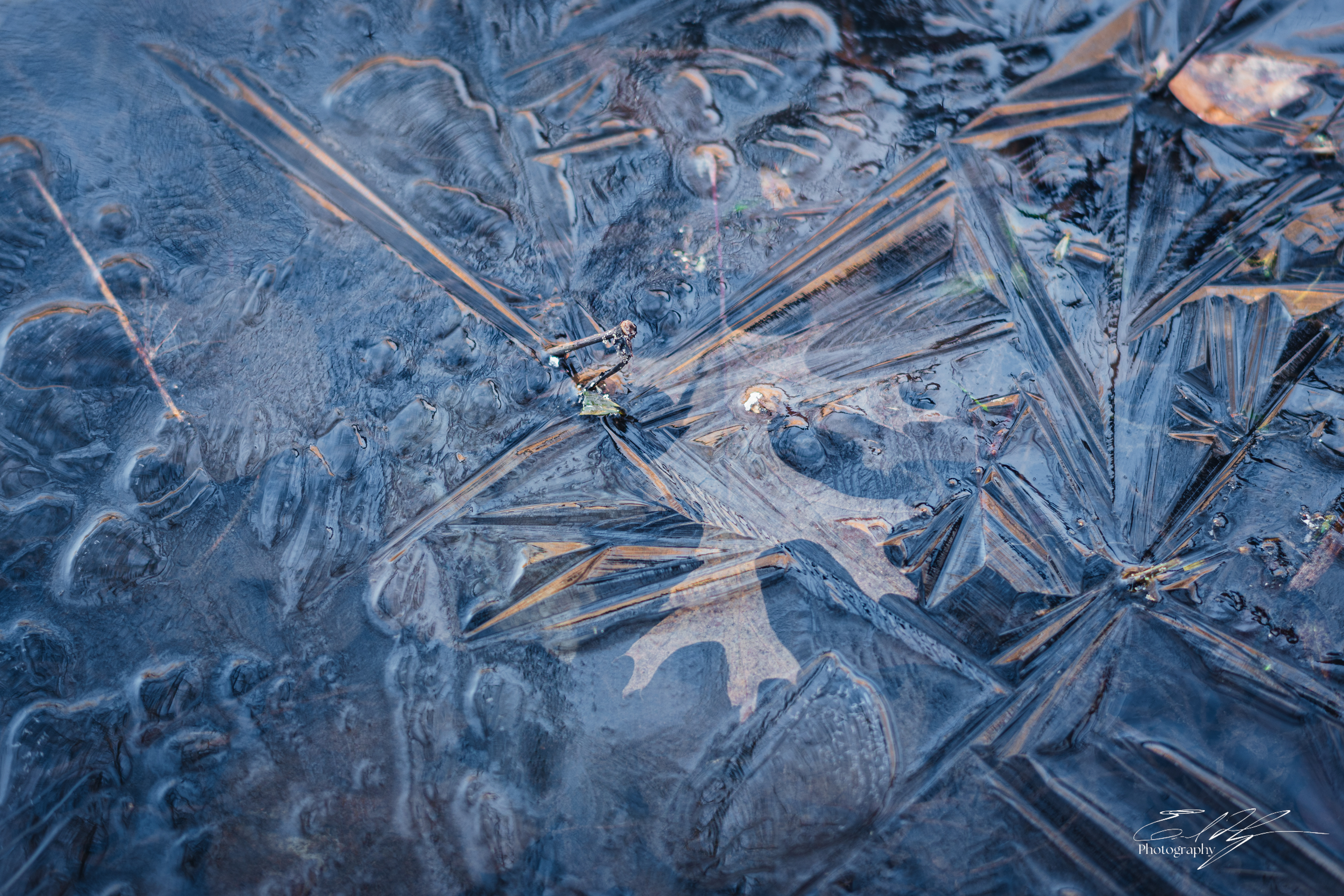 Sandy Creek Ice Portrait   VI