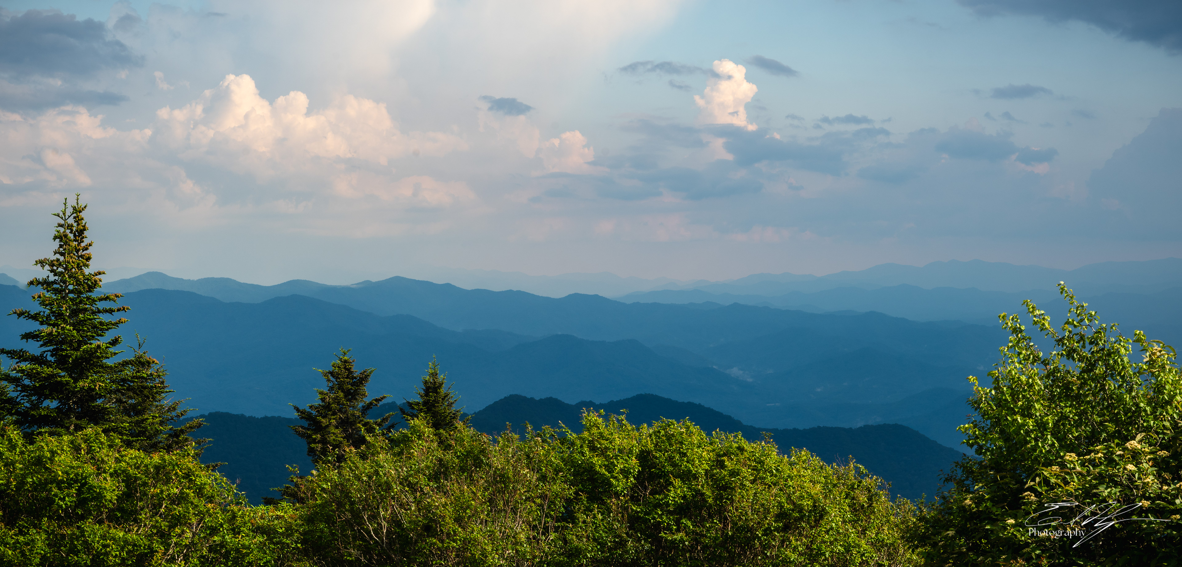 Andrew's Bald June 2025 XV