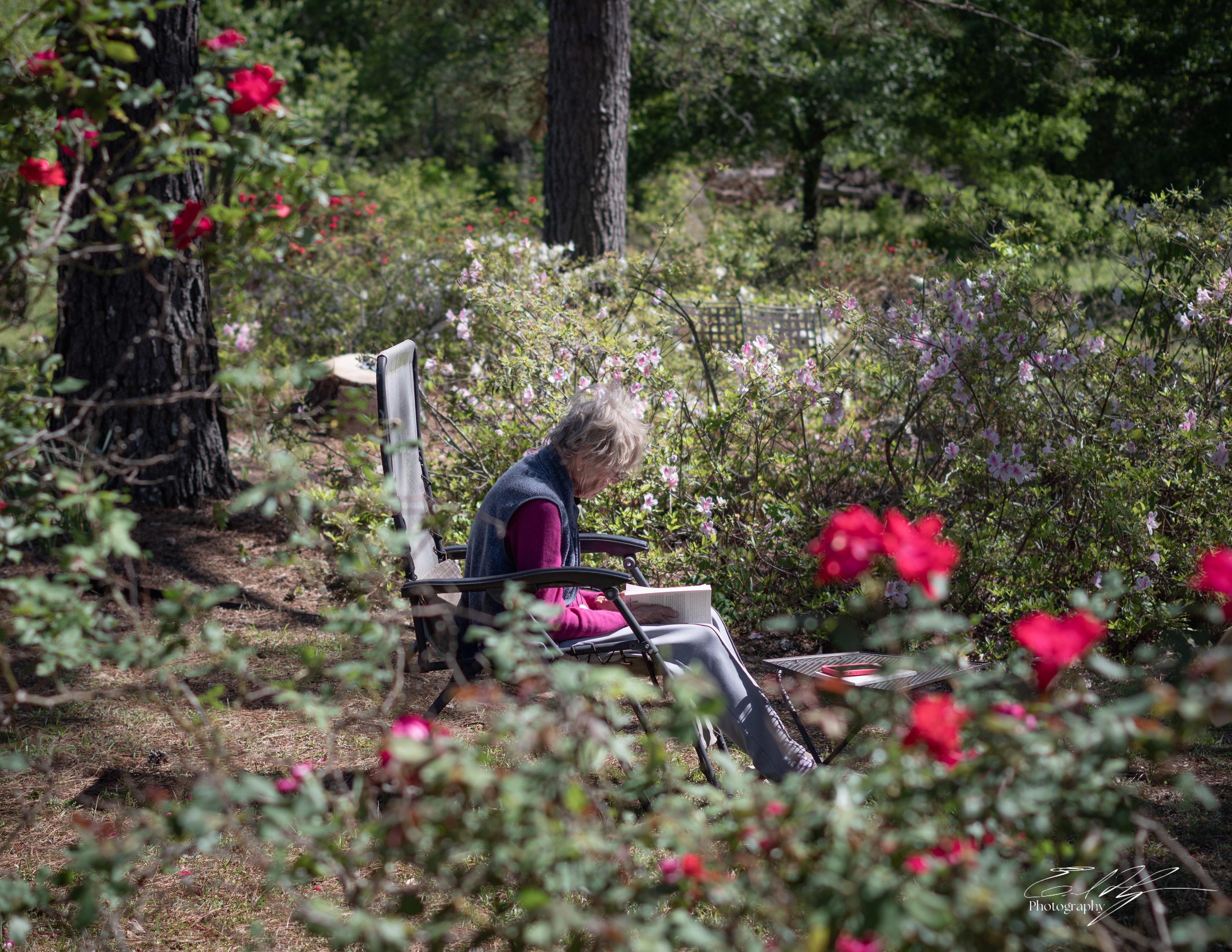 Green Bough House of Prayer April 2025   VI