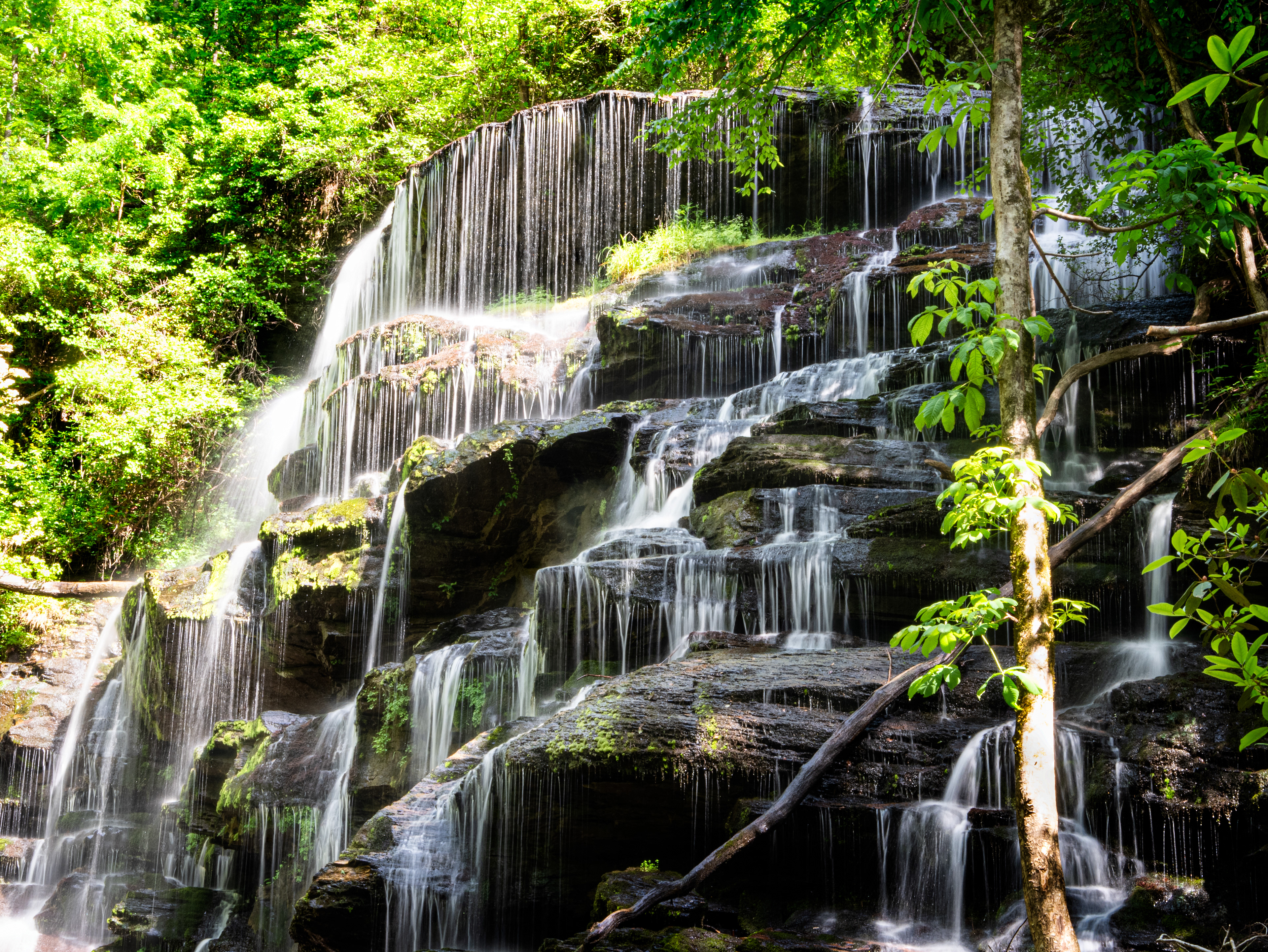 Yellow Branch Falls May 2021   I