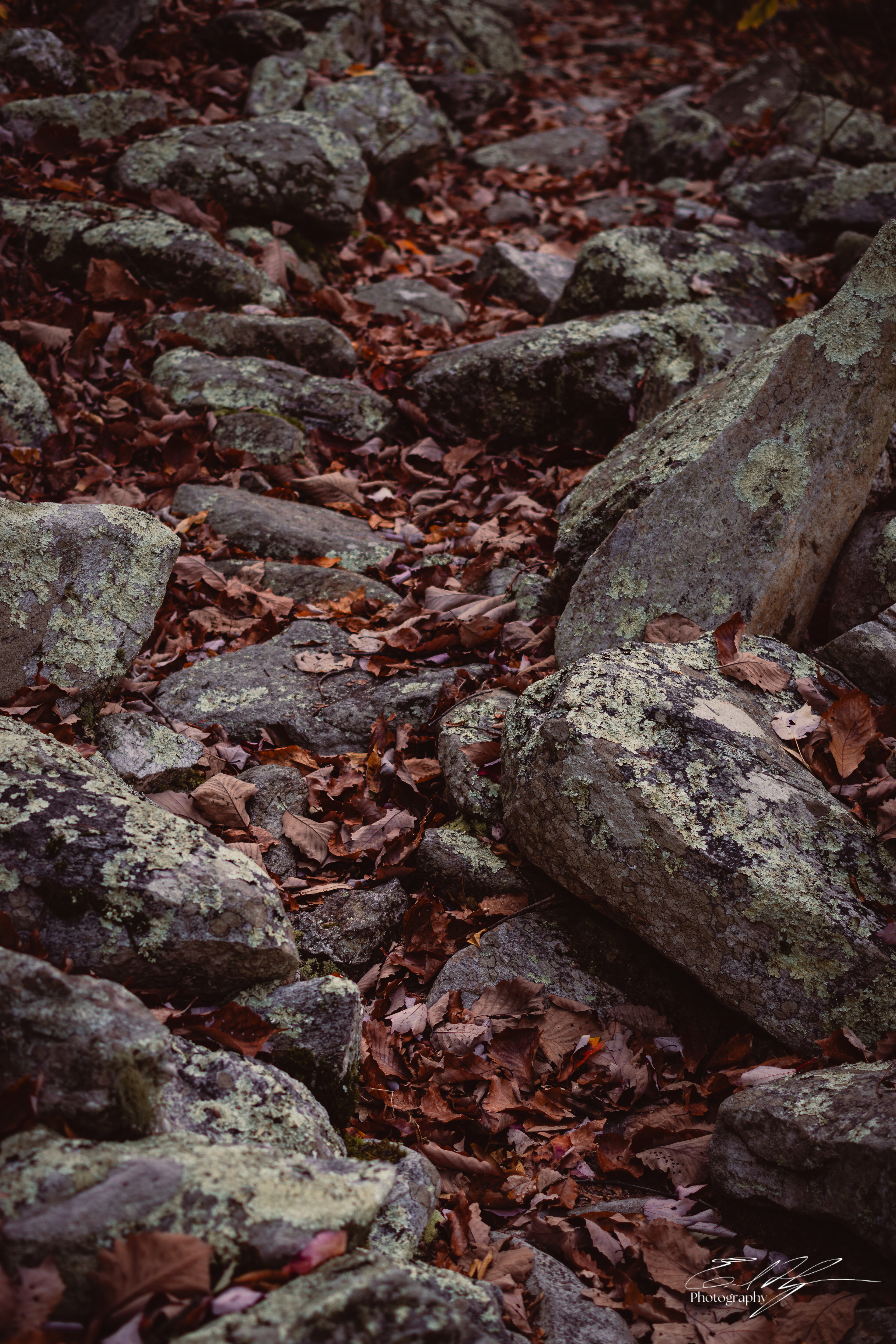 Pin-Chin-Sky Loop November 2024   IV