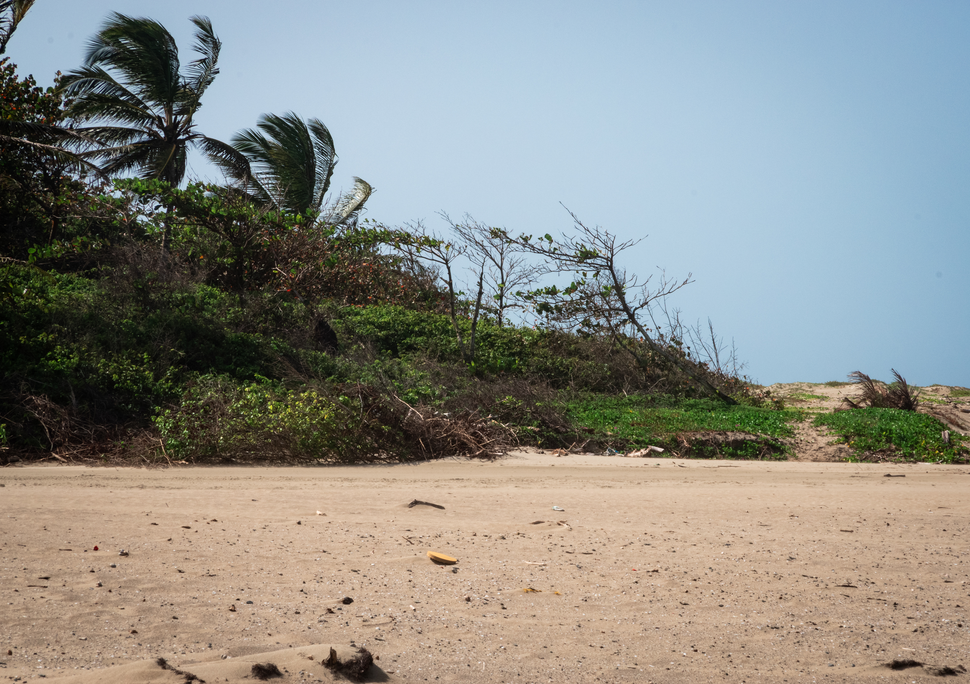 Puerto La Boca July 2021   VI